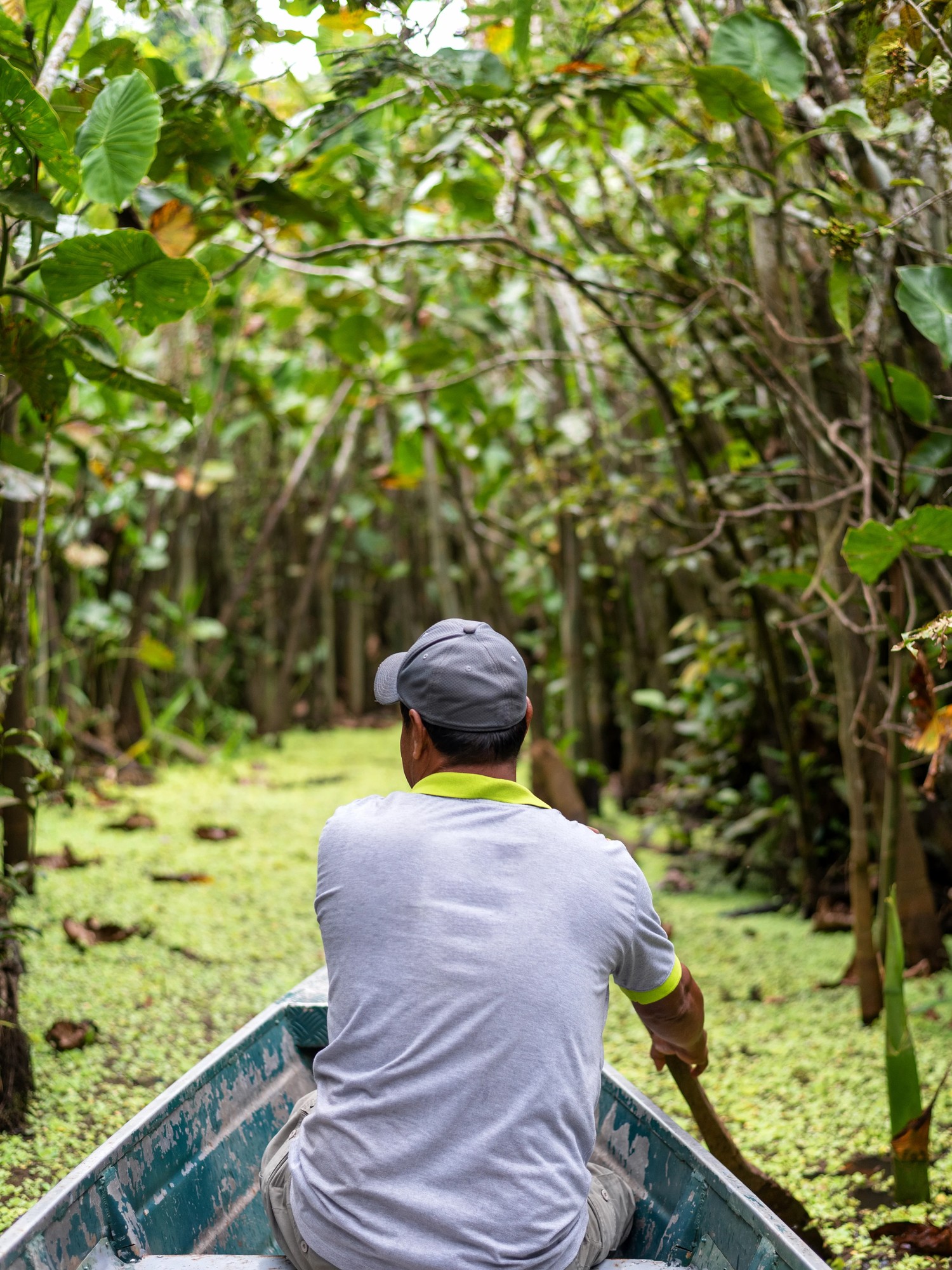 Guide paddling a canoe through a flooded forest channel in the Ecuadorian Amazon