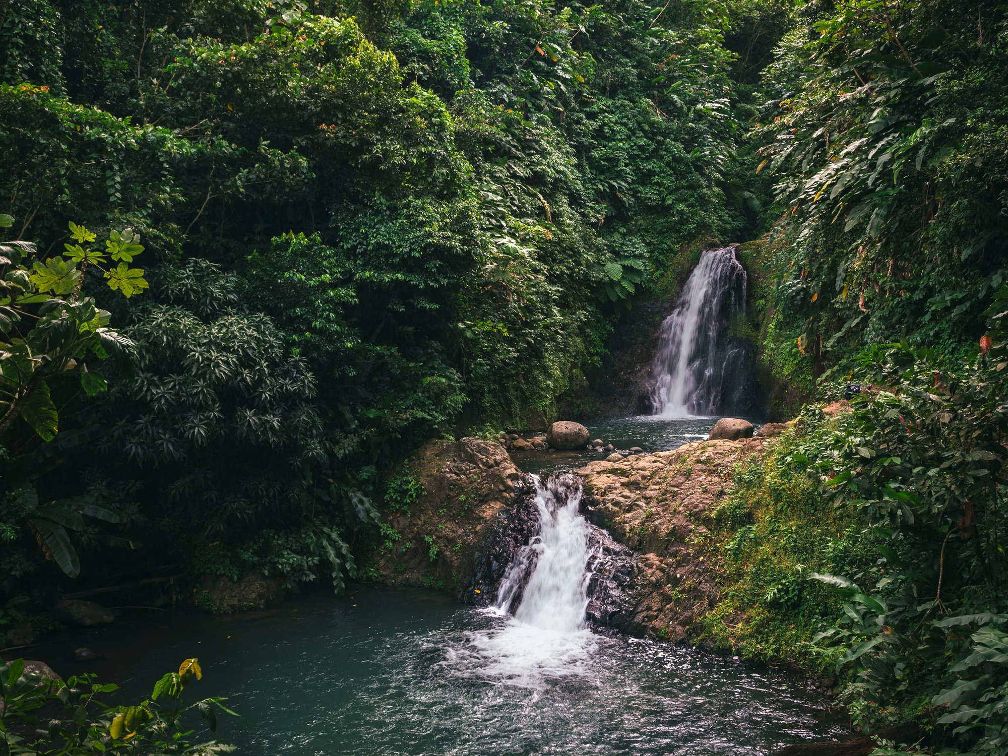 Two waterfalls cascade into pools in a tropical forest.