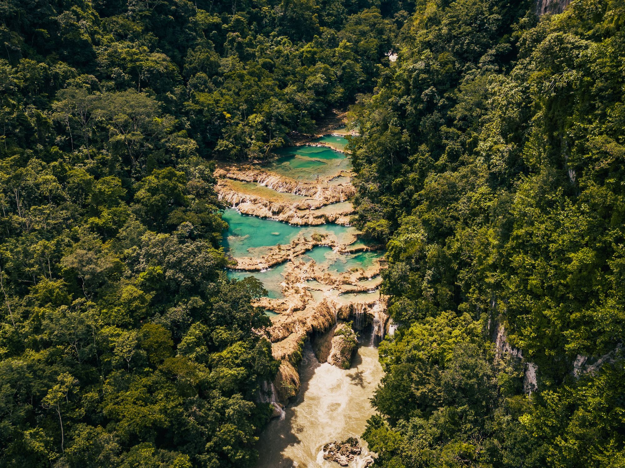 Emerald pools cascade through a jungle canyon at Semuc Champey.