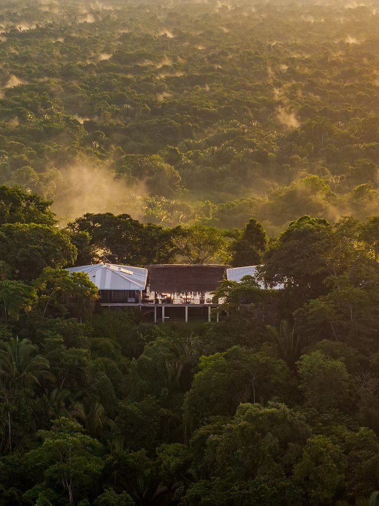 Aerial view of Copal Tree Lodge rising above misty rainforest canopy at dawn.