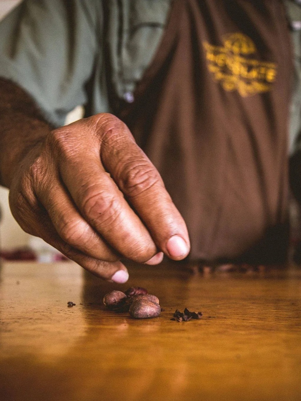 A hand picks fresh cacao beans during a chocolate-making demonstration at Copal Tree Lodge.