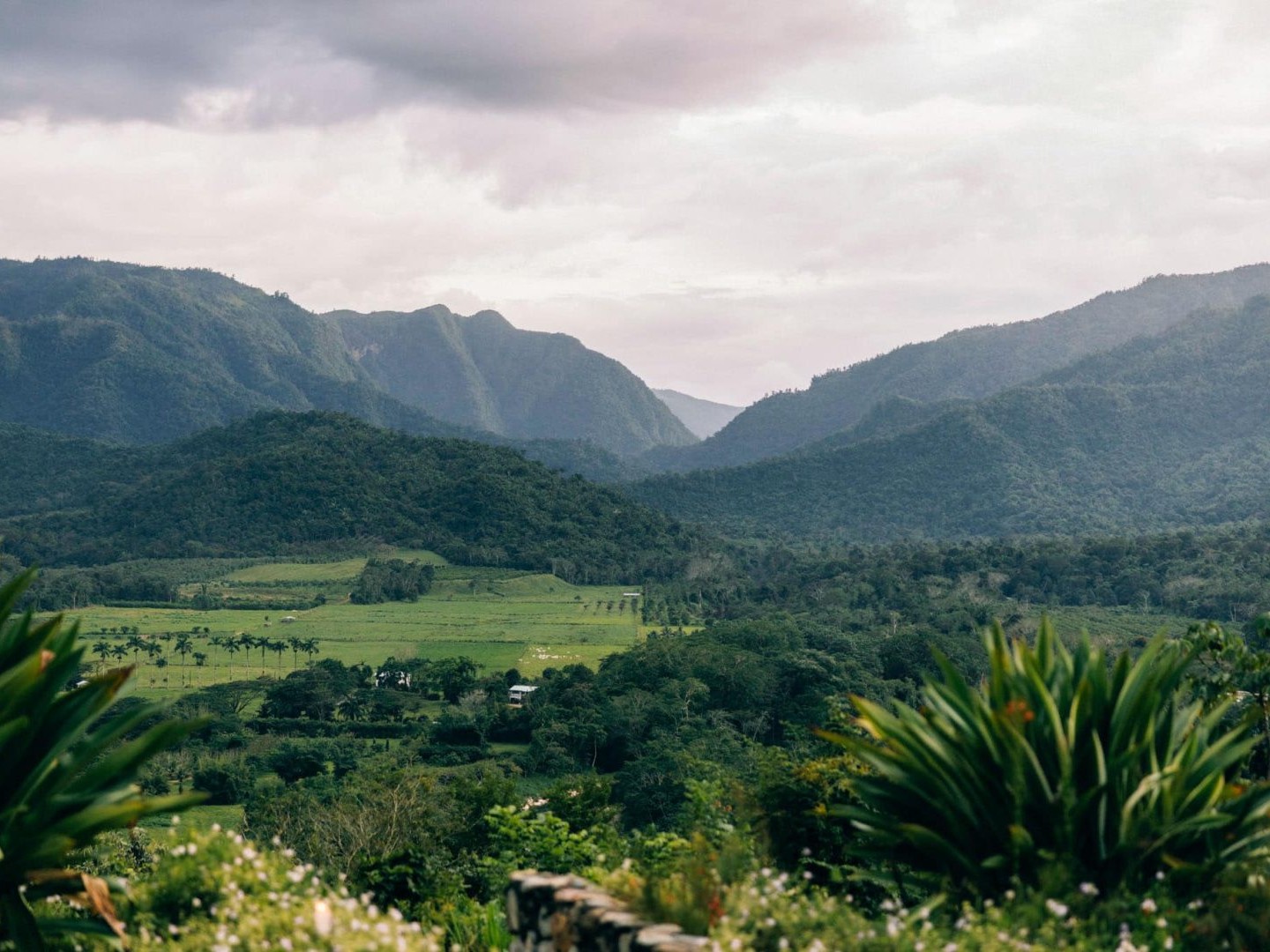 Misty jungle valley and farmland framed by the Maya Mountains near Sleeping Giant Lodge.