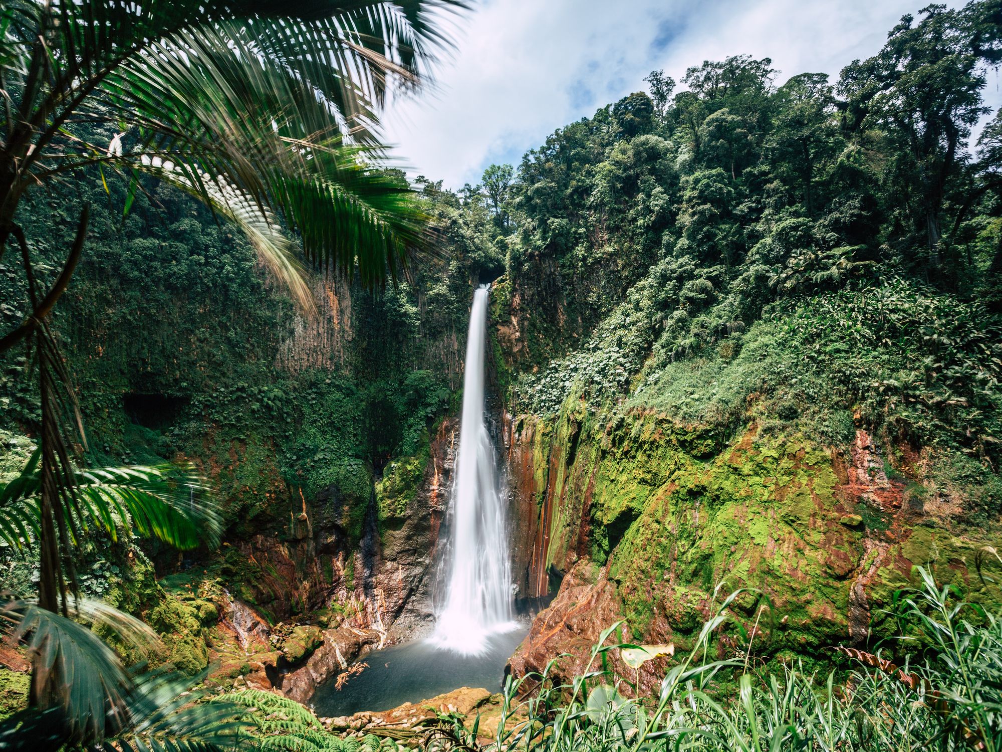 A slender waterfall plunges through a moss-covered rainforest gorge framed by palm fronds.
