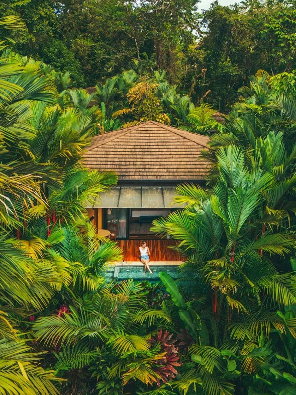 A thatched-roof villa with its own plunge pool sits tucked deep within dense rainforest canopy.