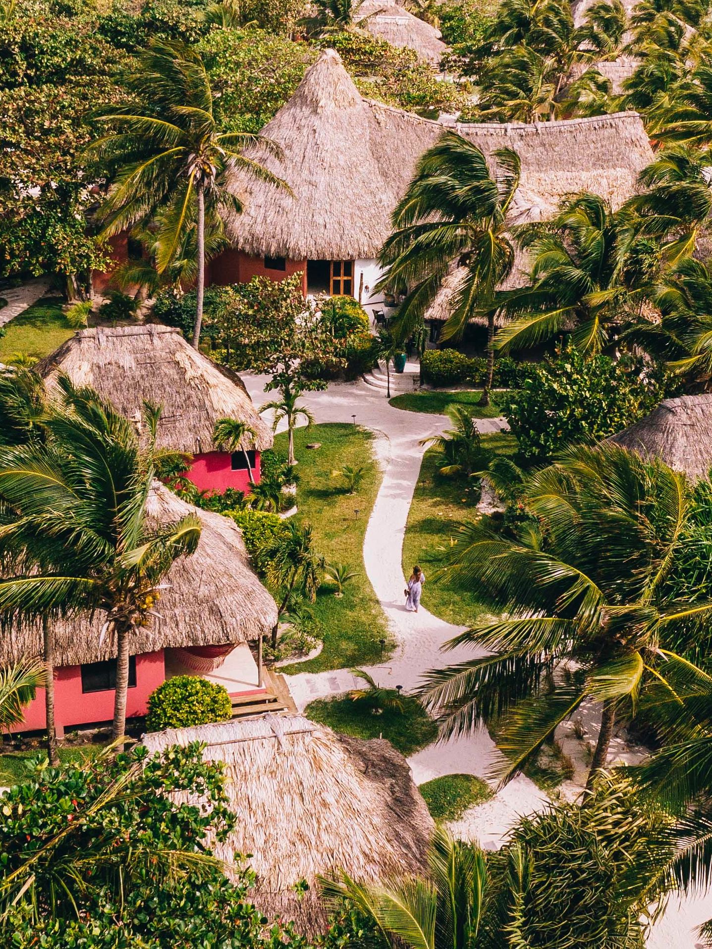 Aerial view of Matachica Resort's pink thatched-roof casitas nestled among palm trees on Ambergris Caye.