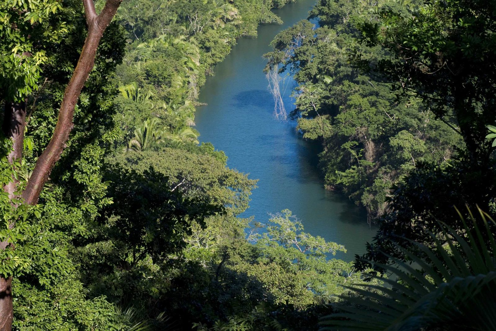 Copal Tree Lodge river view Belize