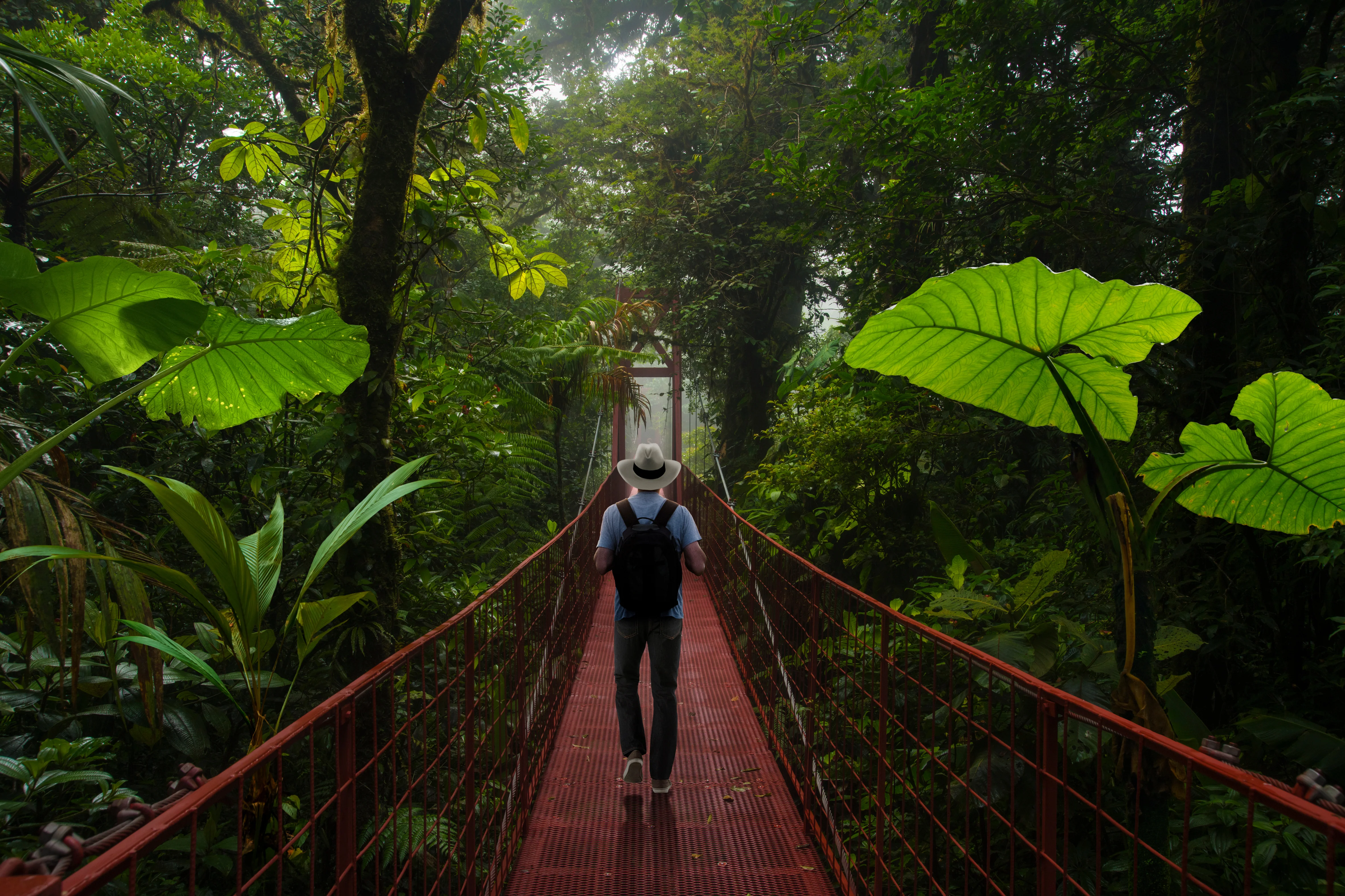 Monteverde hanging bridges, Costa Rica