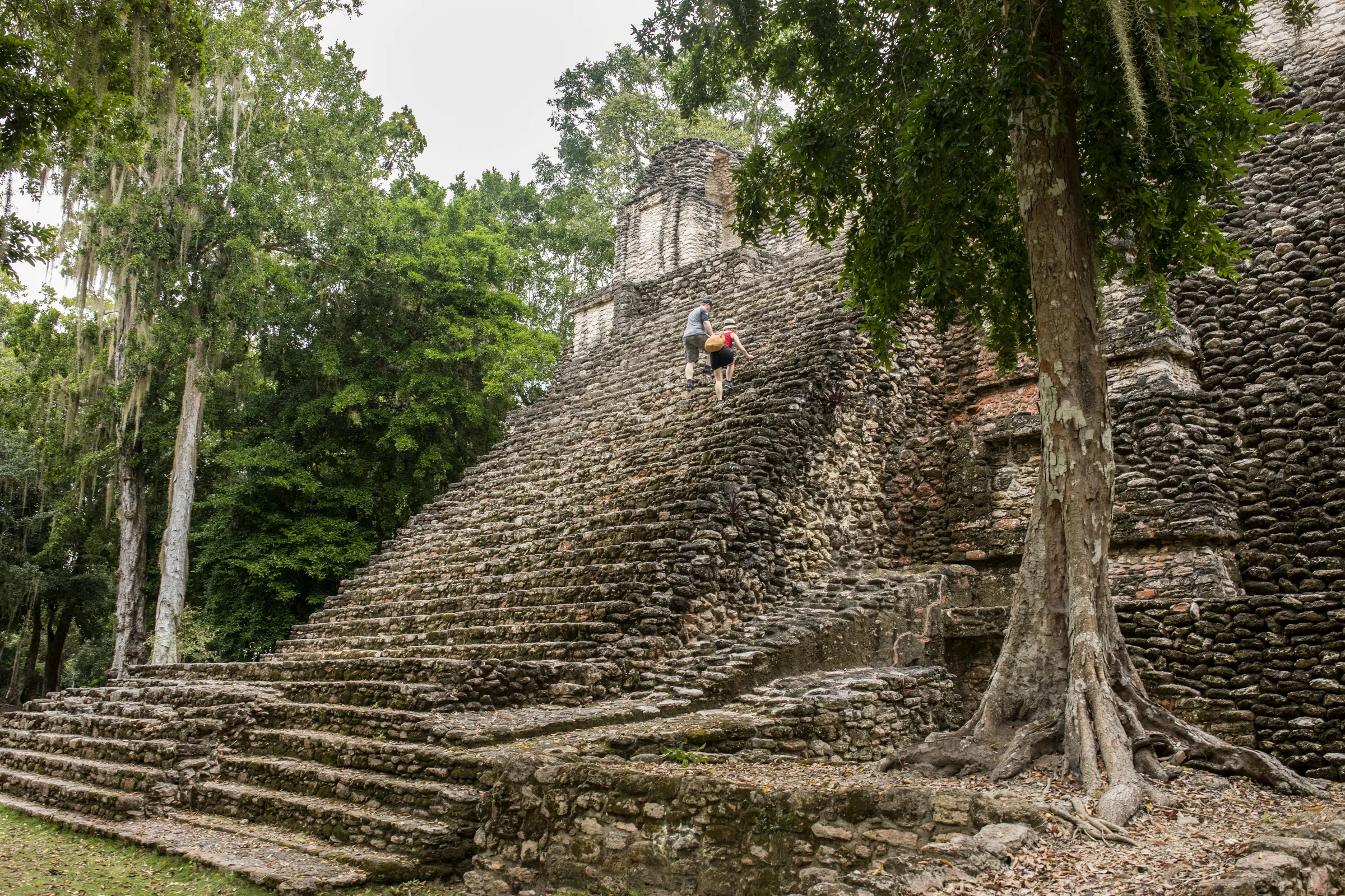 Tree roots beside a steep stone temple staircase