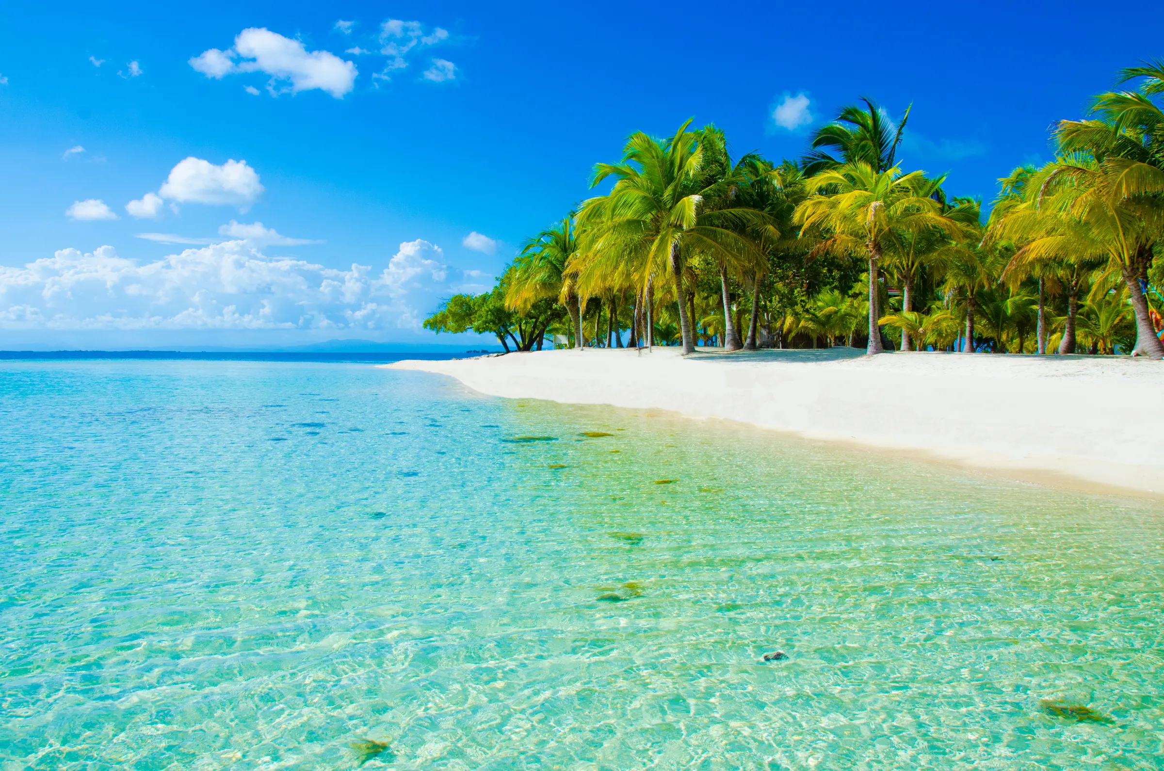 Clear turquoise water beside a palm-lined beach