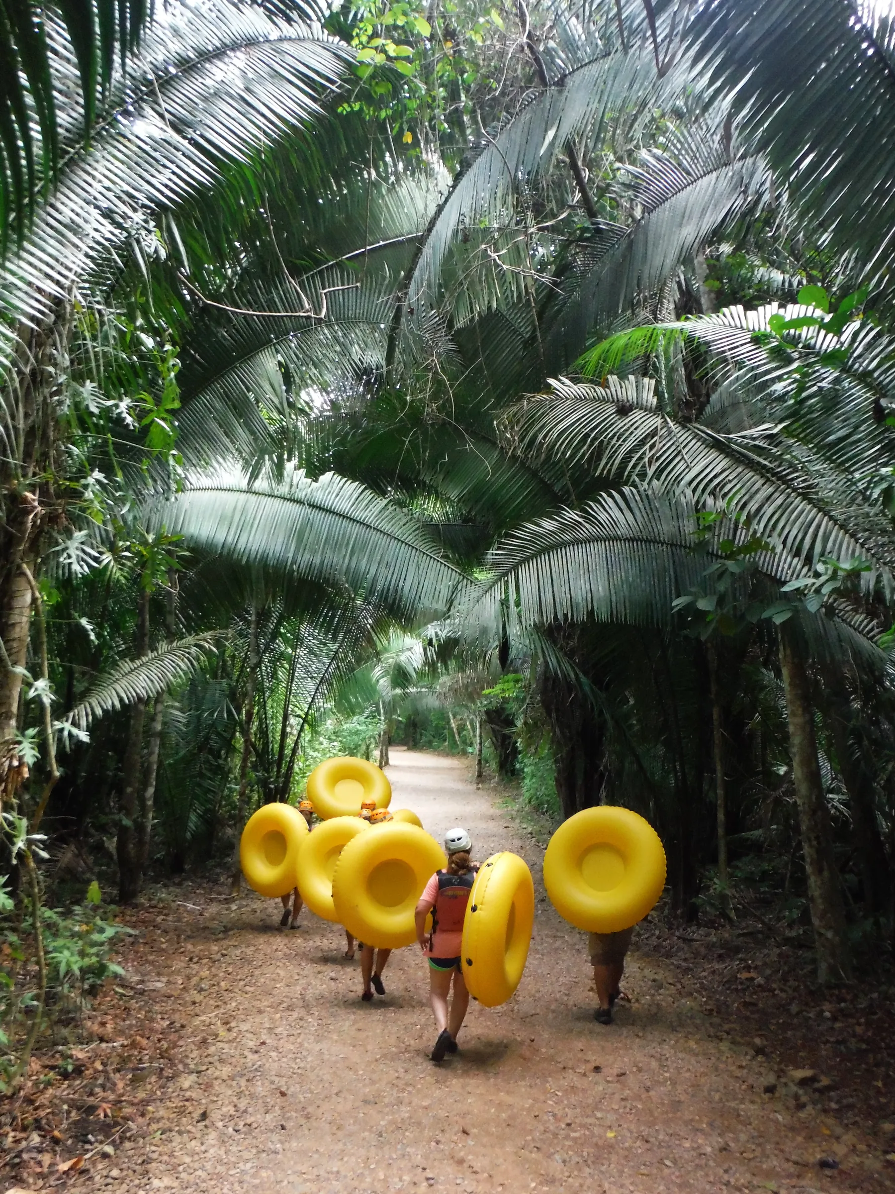 Visitors carrying yellow tubes along a forest path
