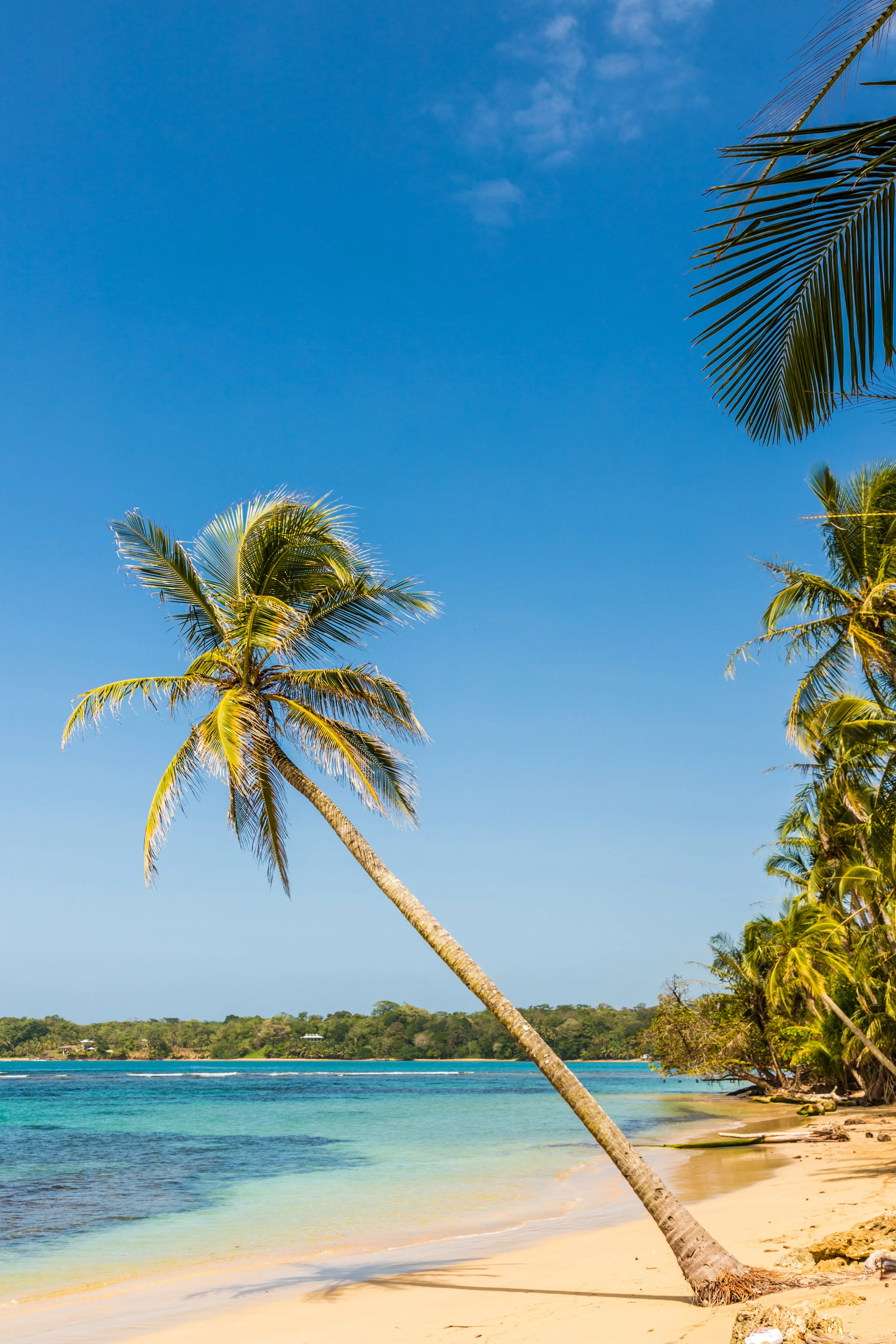 Beach in Bocas del Toro, Panama