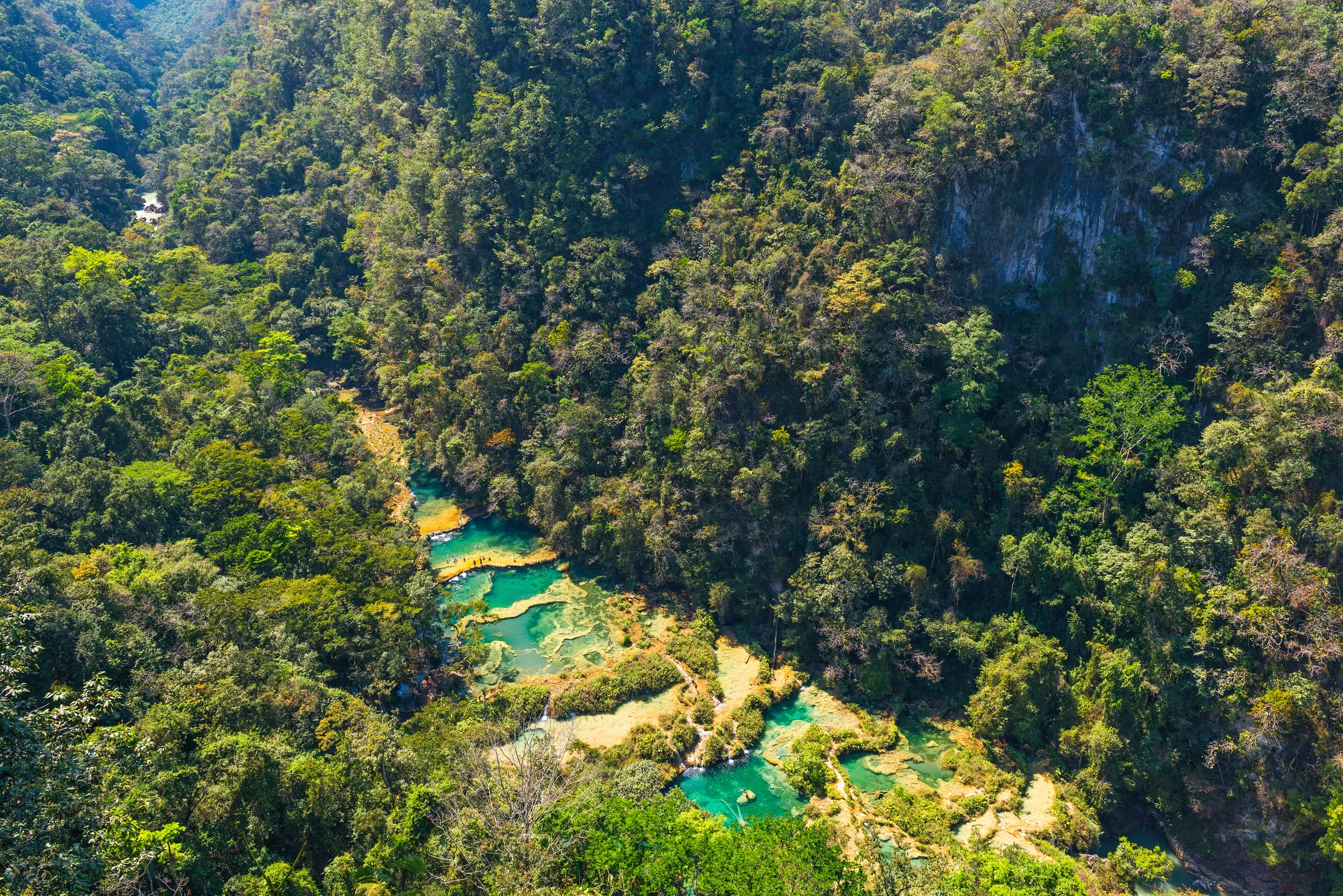 Aerial view of Semuc Champey's turquoise pools beneath the forest canopy