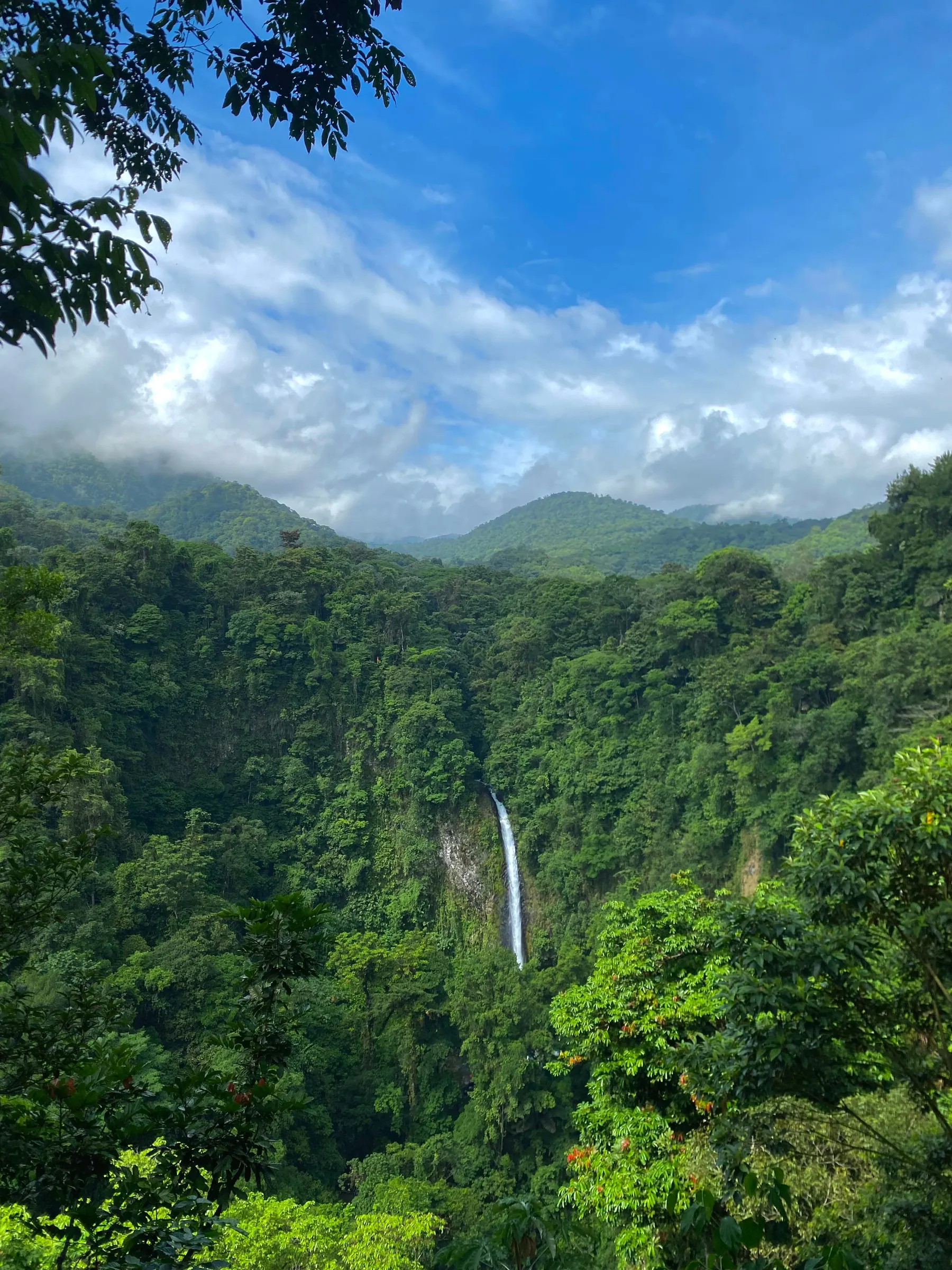 Tall waterfall in a densely forested valley