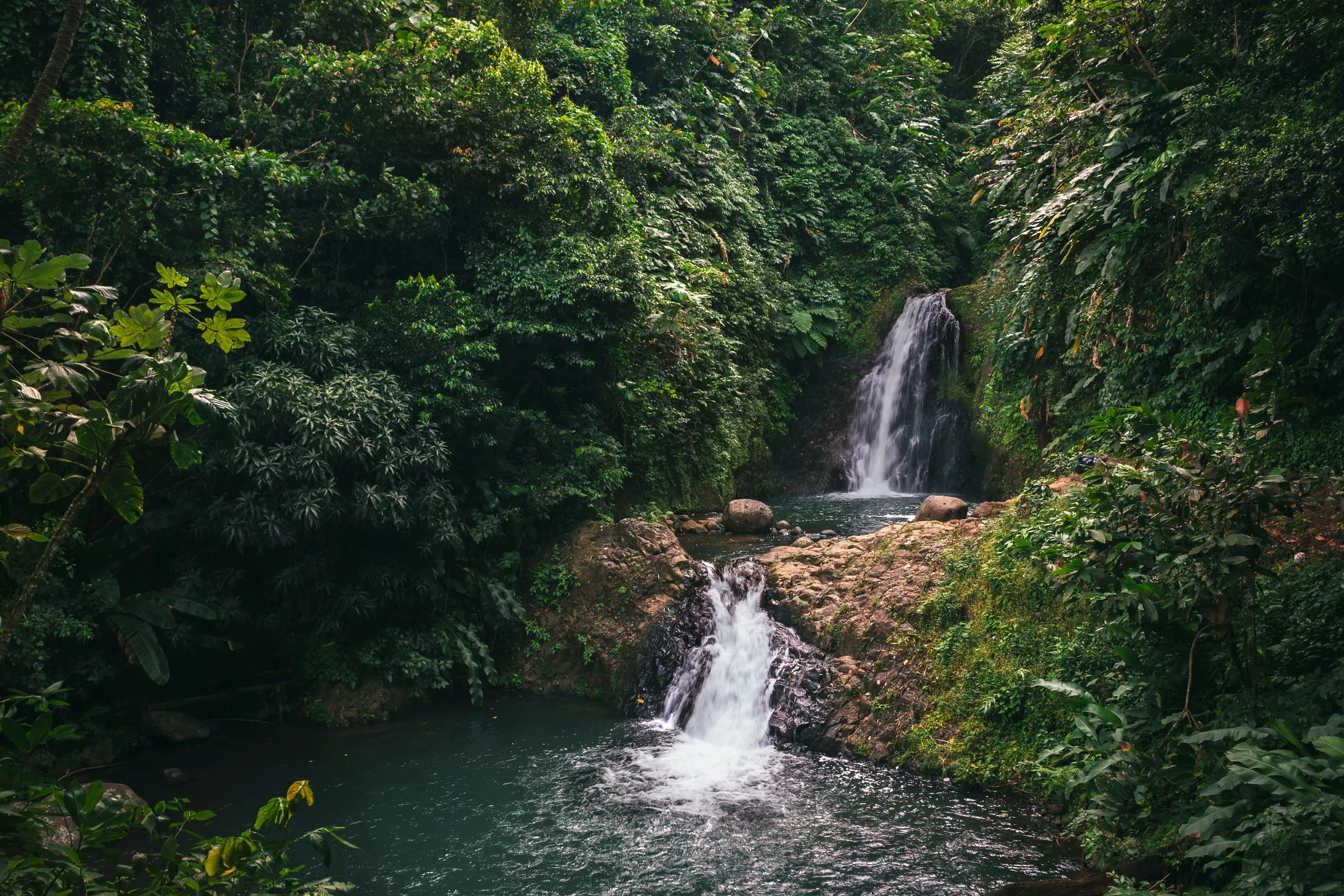 Waterfalls flowing through a lush rocky gorge