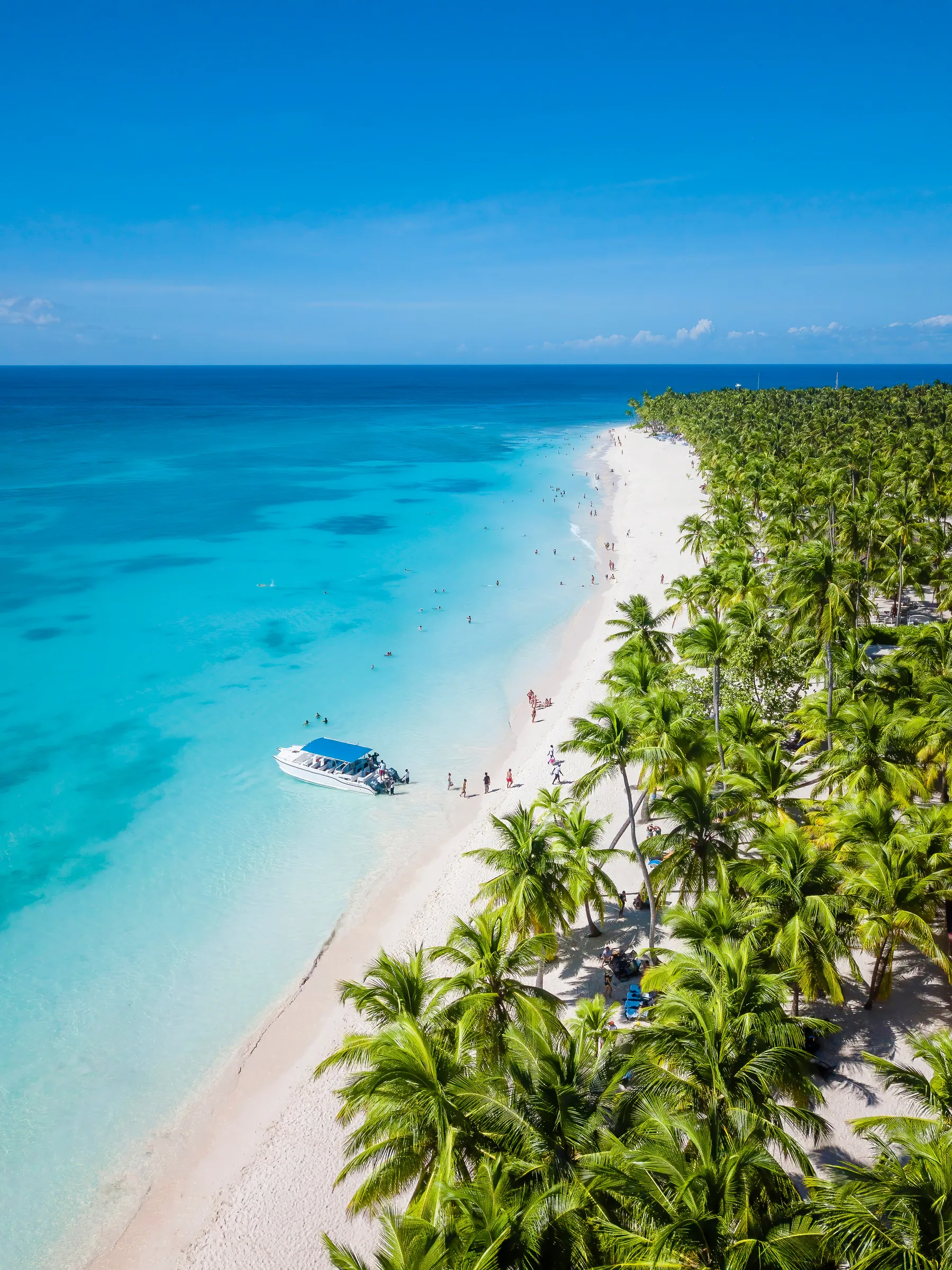 Long white sand beach bordered by palms