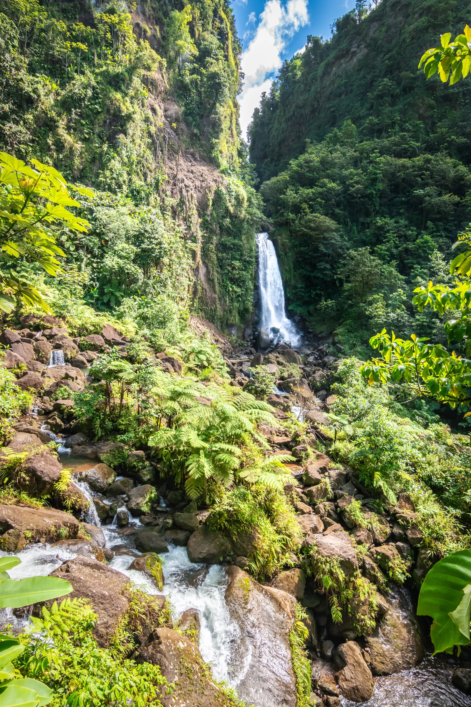 Waterfall cascading through a steep green gorge