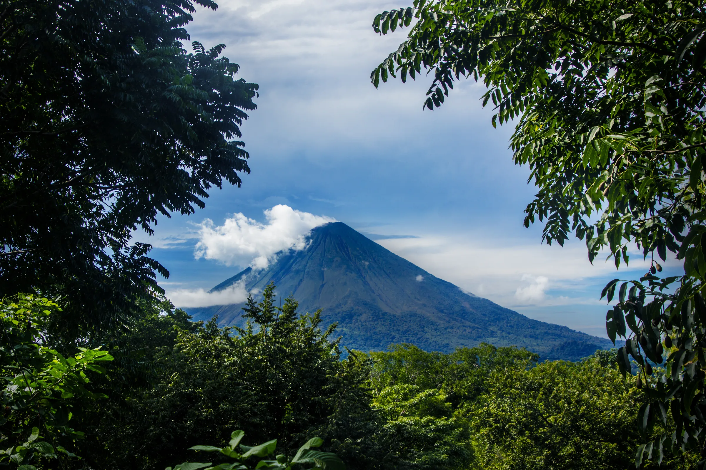 Volcano framed by dense green foliage