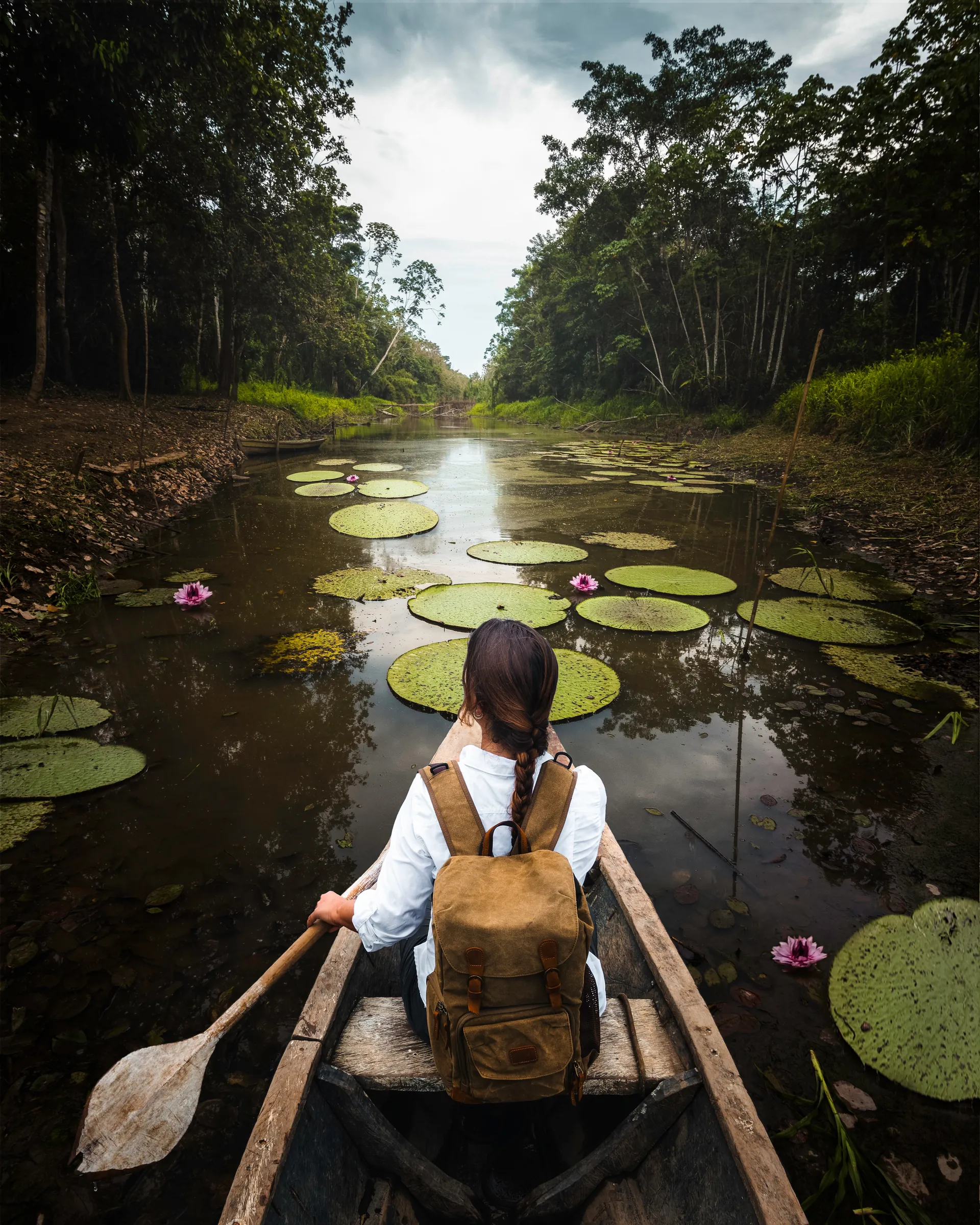 Canoe traveling along a rainforest waterway