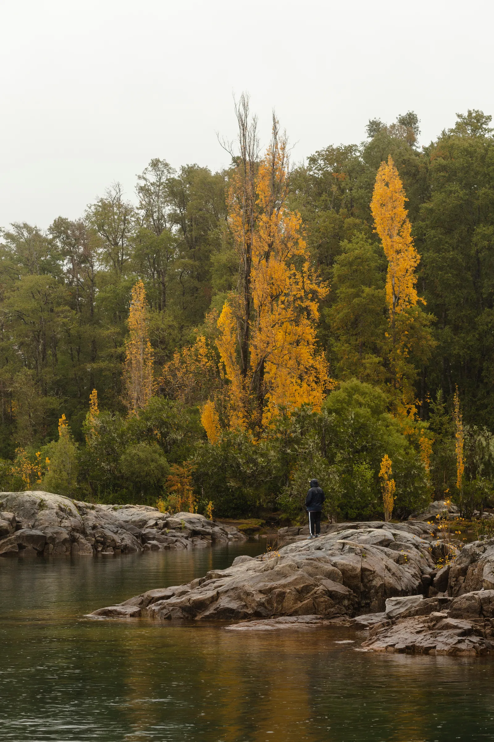 Autumn trees reflected beside a rocky lake