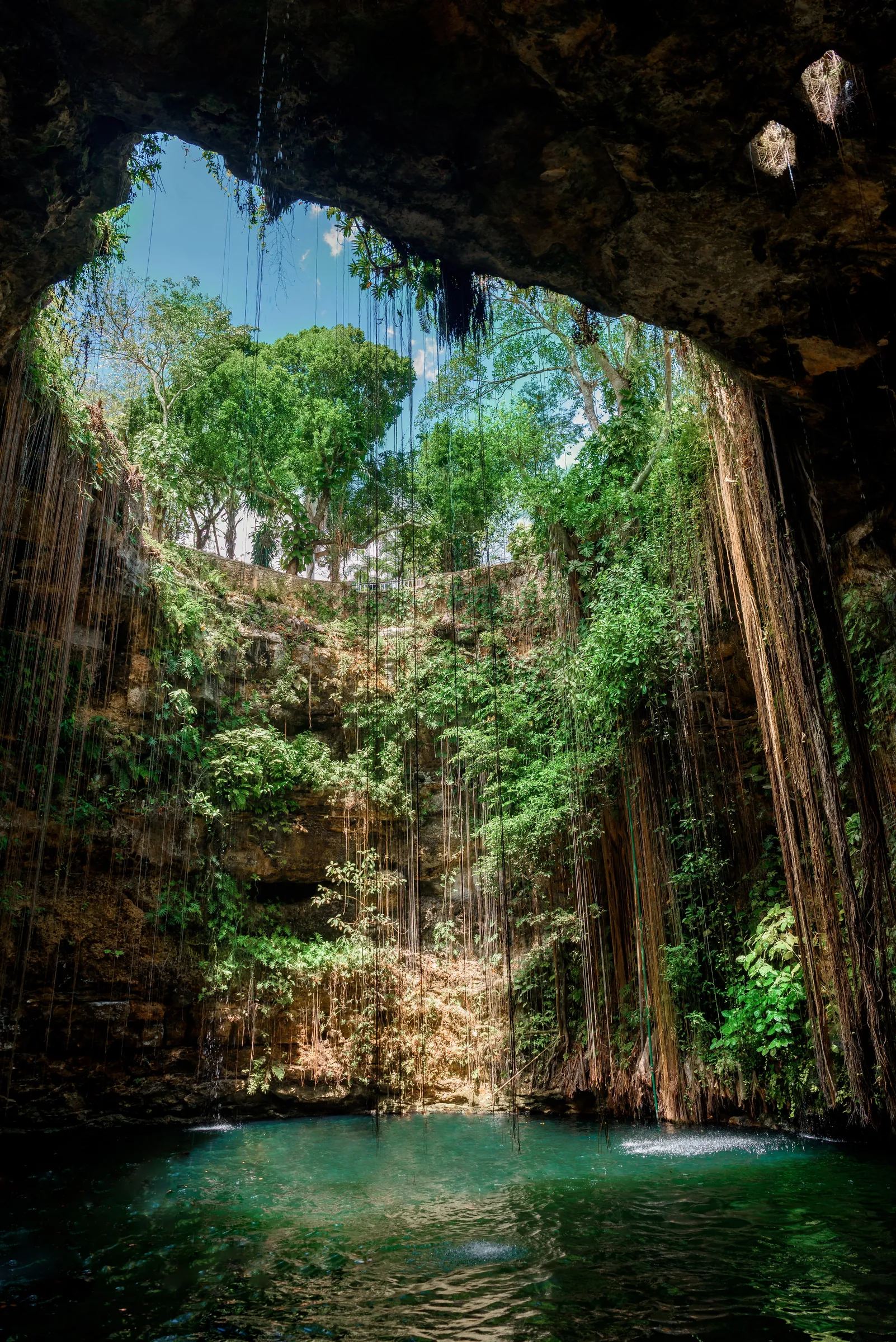 Forest garden framed by a rocky cave entrance