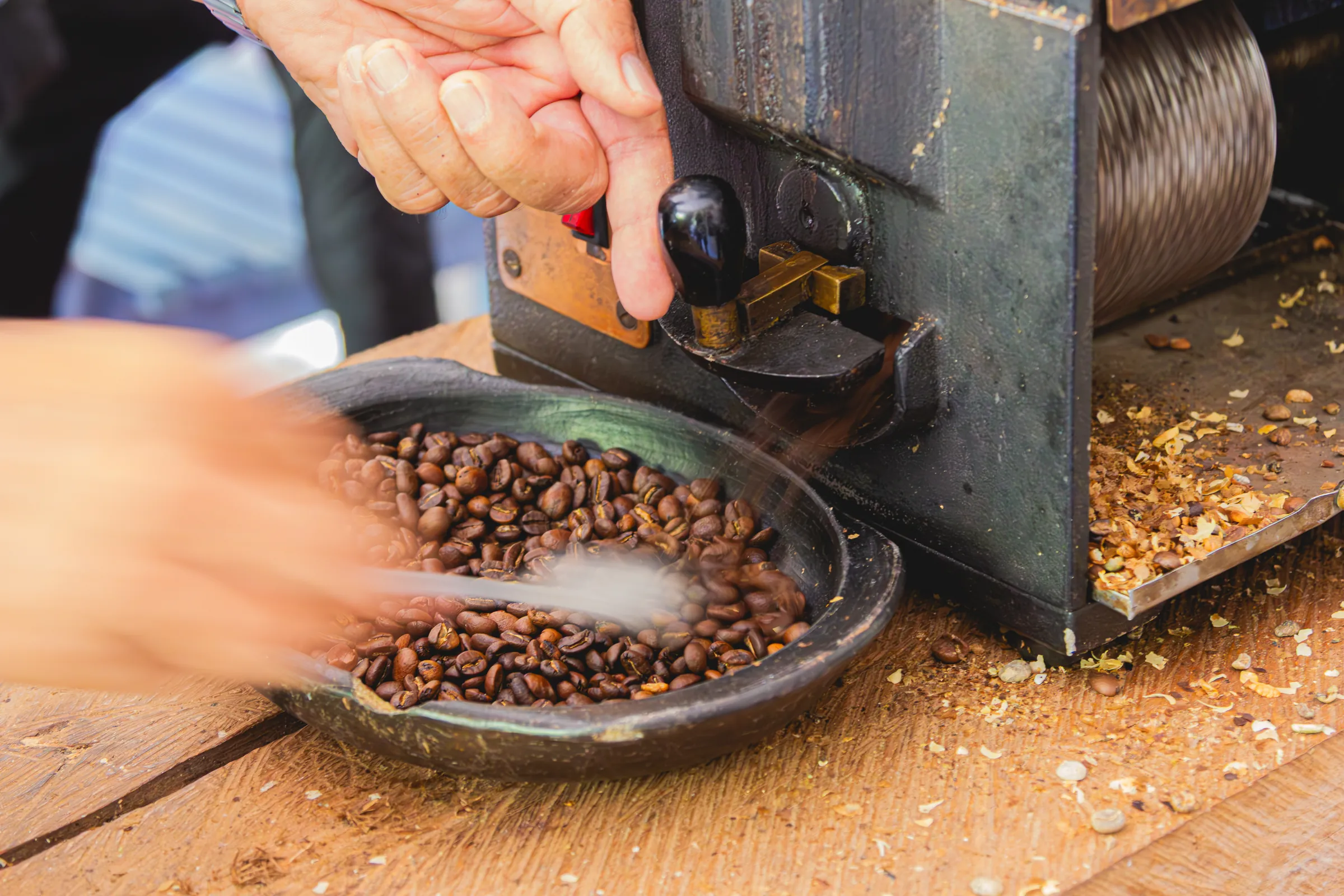 Hands collecting freshly roasted coffee beans
