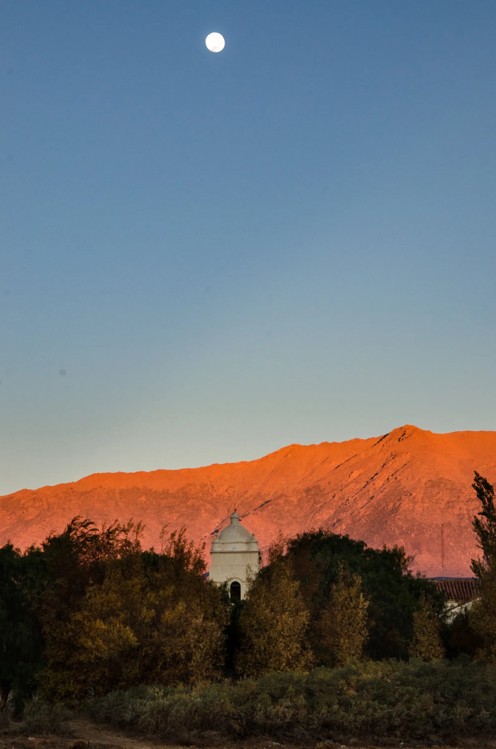 Moon above red rock hills and trees