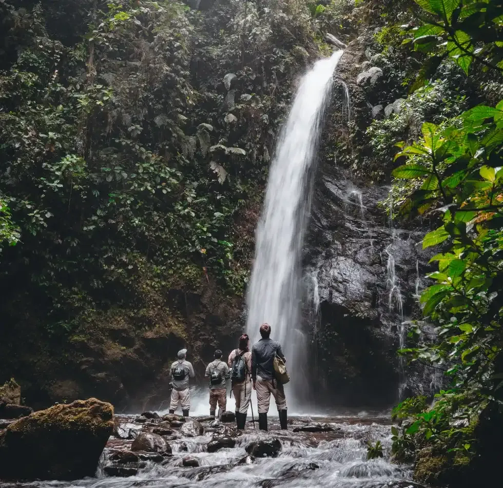 Visitors beside a tall rainforest waterfall