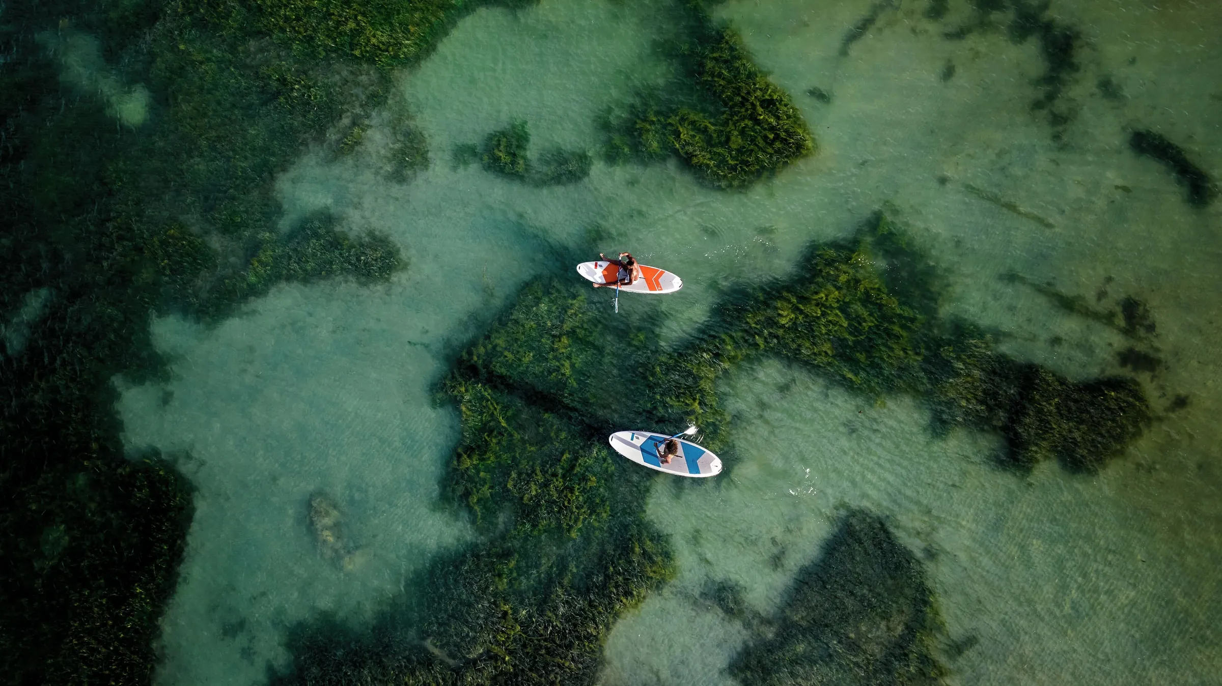 Paddlers crossing shallow reef water