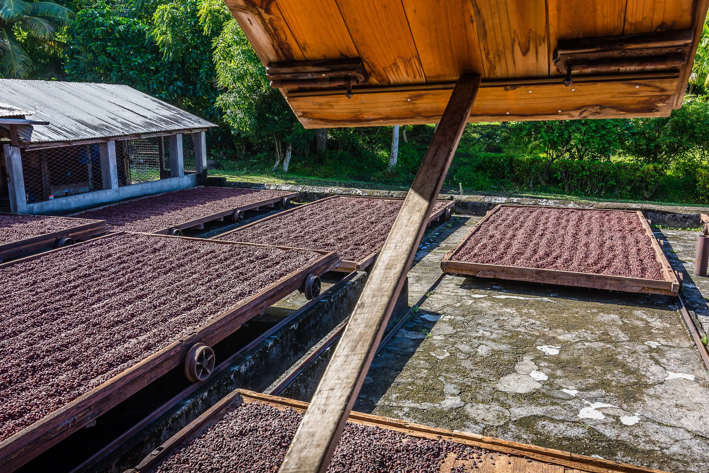 Outdoor bath above tropical hotel roofs