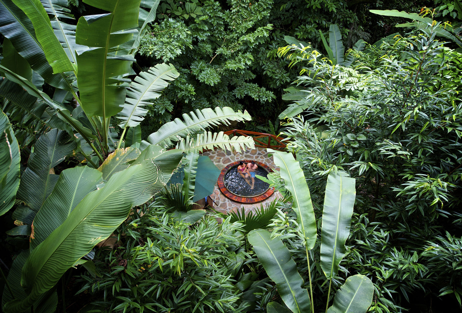 Spa jacuzzi surrounded by rainforest at Nayara Springs, Costa Rica