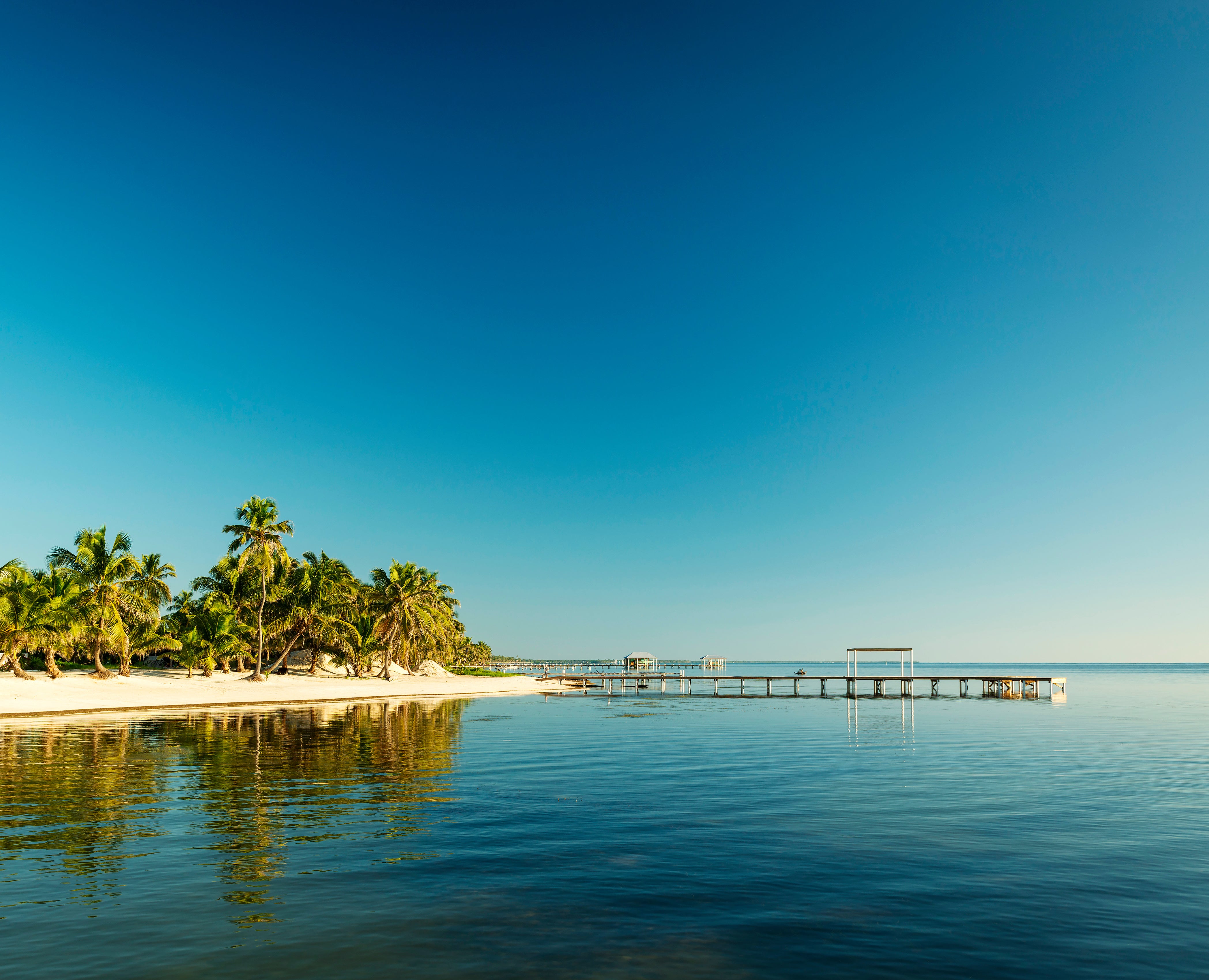 Palm-lined beach and wooden pier beside calm Caribbean water on Ambergris Caye, Belize