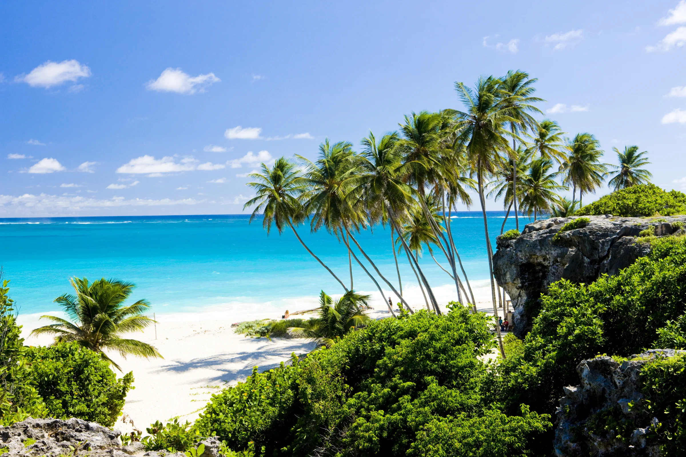 Palm-lined Bottom Bay, Barbados