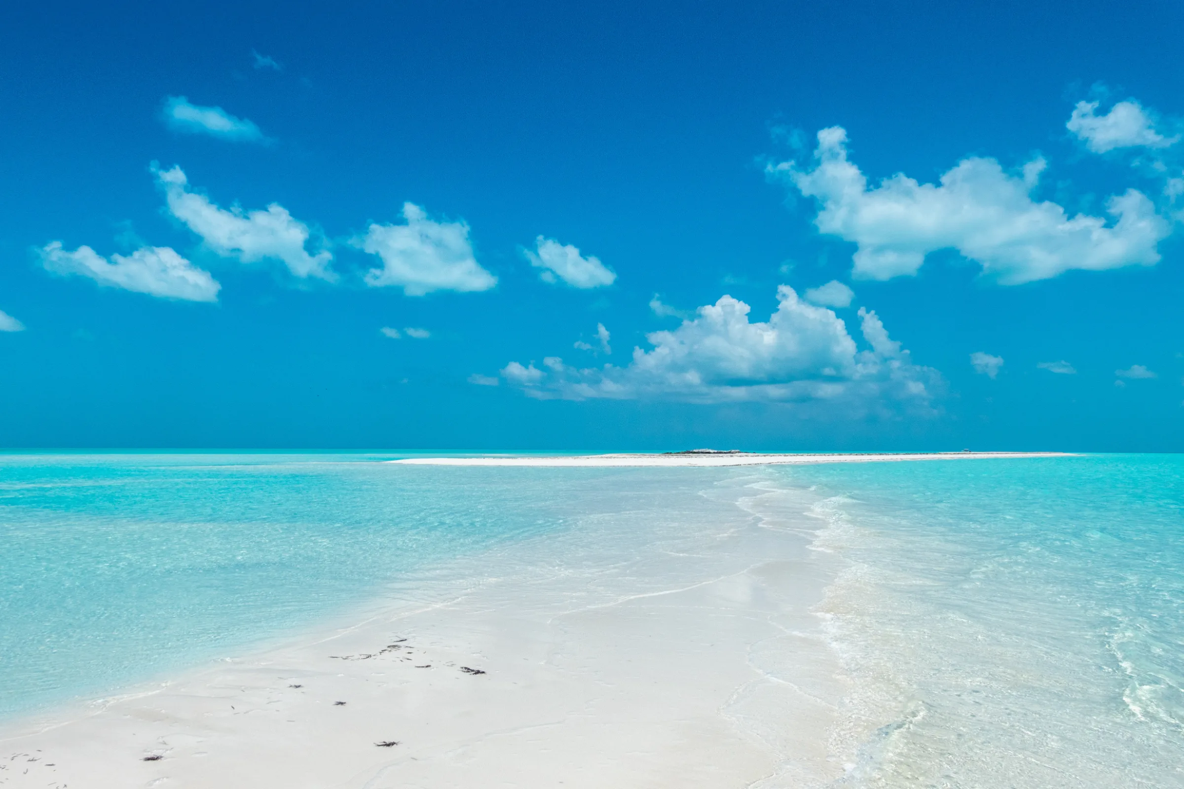 The beach at White Cay in the Exumas, Bahamas
