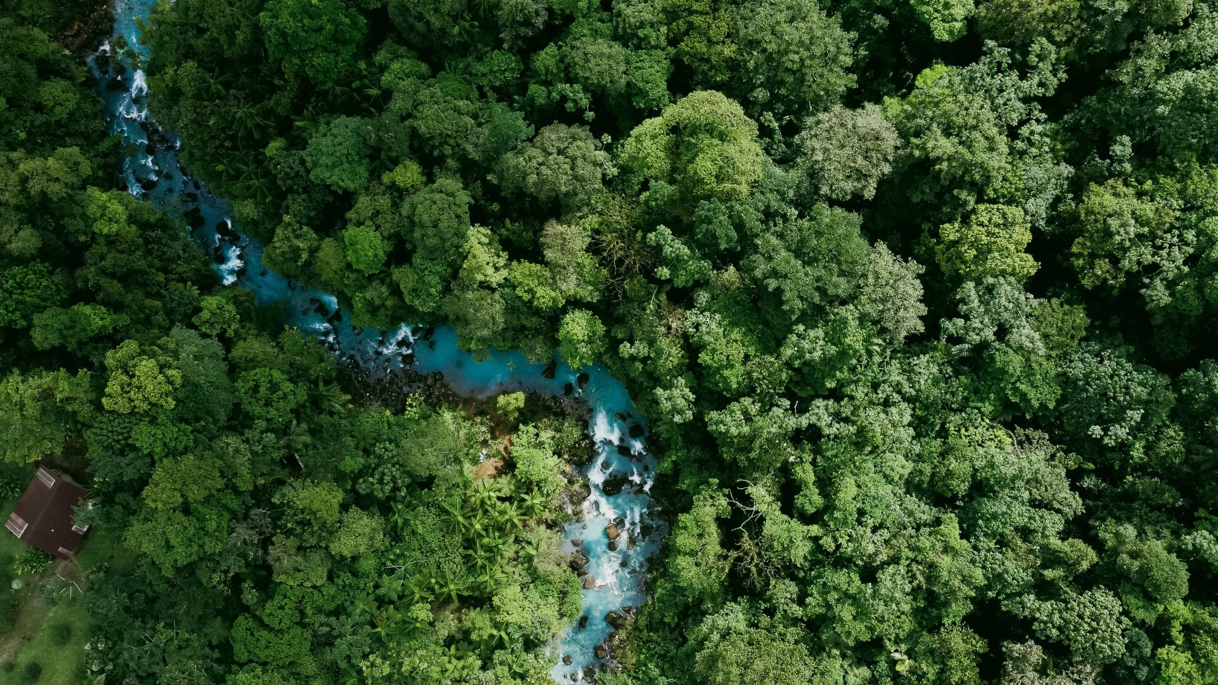 Aerial view of the blue Río Celeste winding through forest in Costa Rica