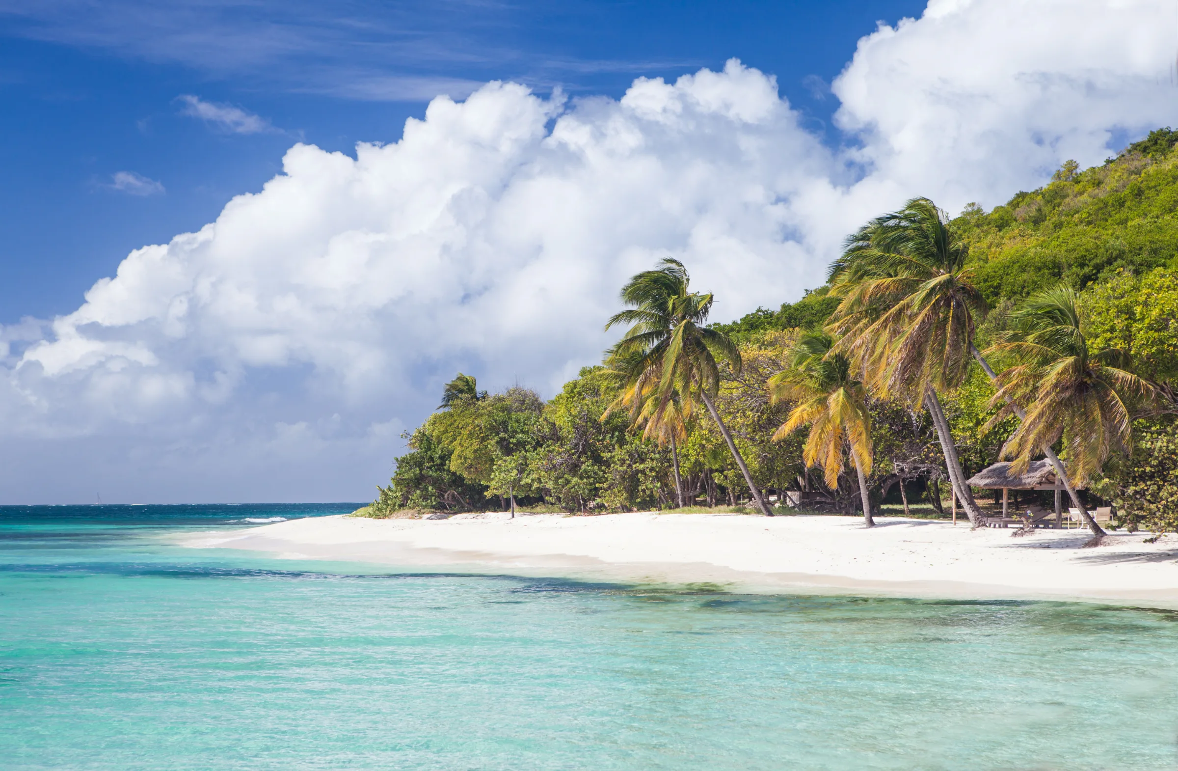 Palm-lined white-sand beach on Petit St. Vincent in the Grenadines