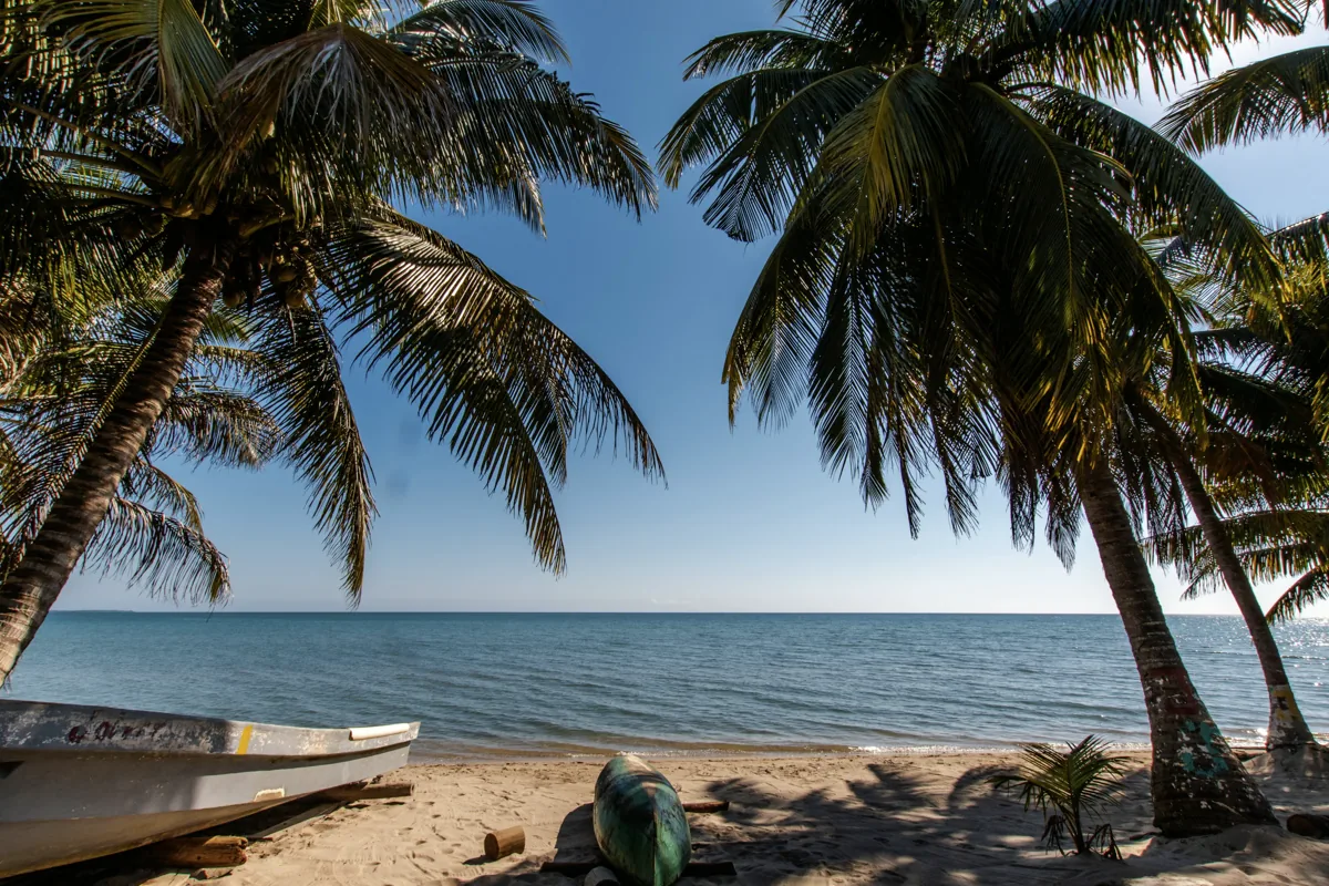 Palm trees shading an empty beach at Hopkins, Belize.
