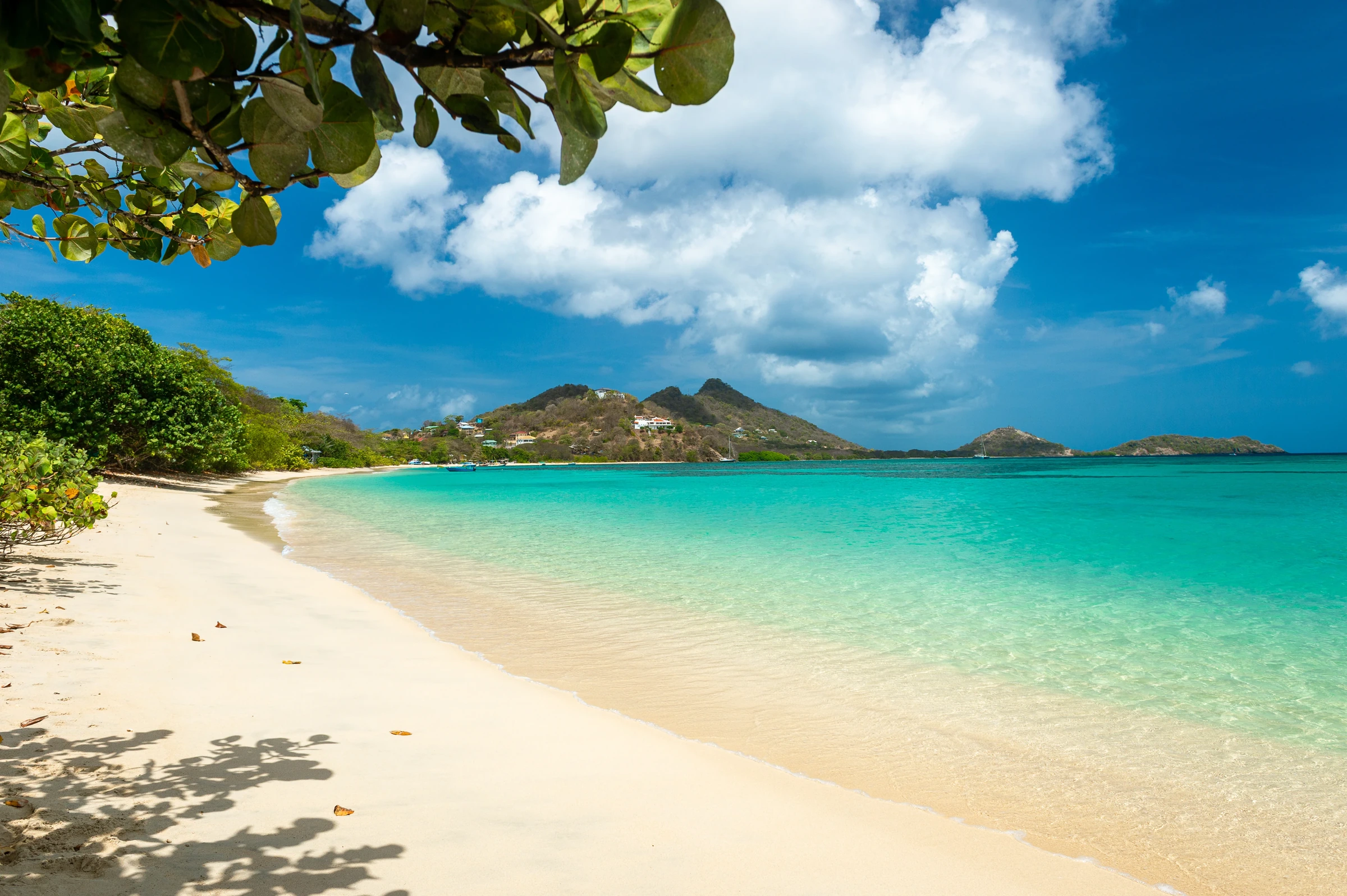 White sandy beach and turquoise bay in Grenada.