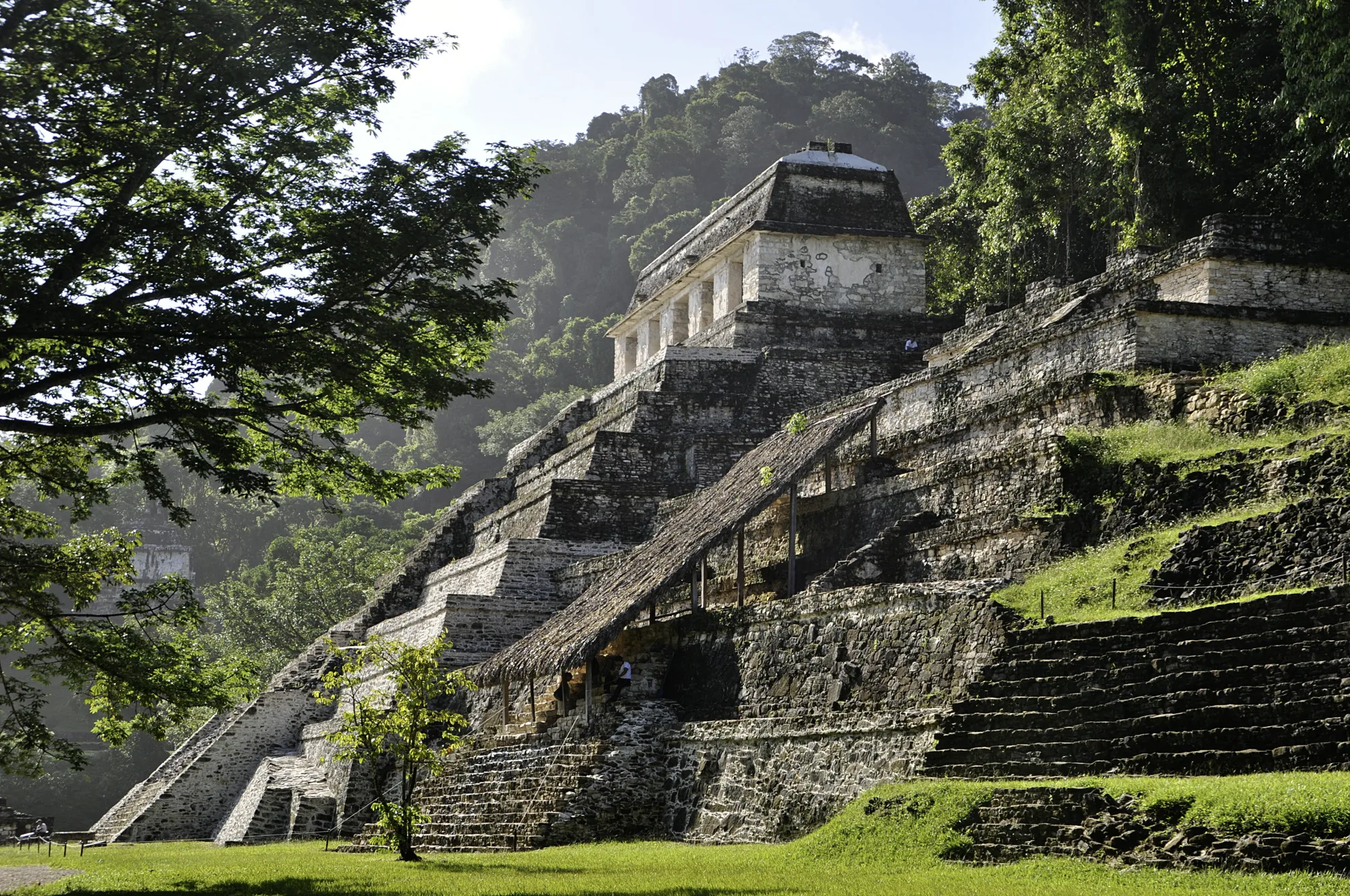 Stone Maya temple rising from forest at Palenque.