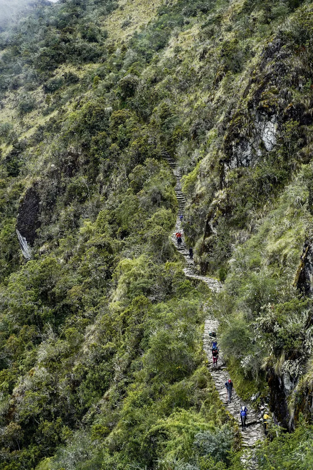 Hikers on a steep green trail in Peru's Sacred Valley.