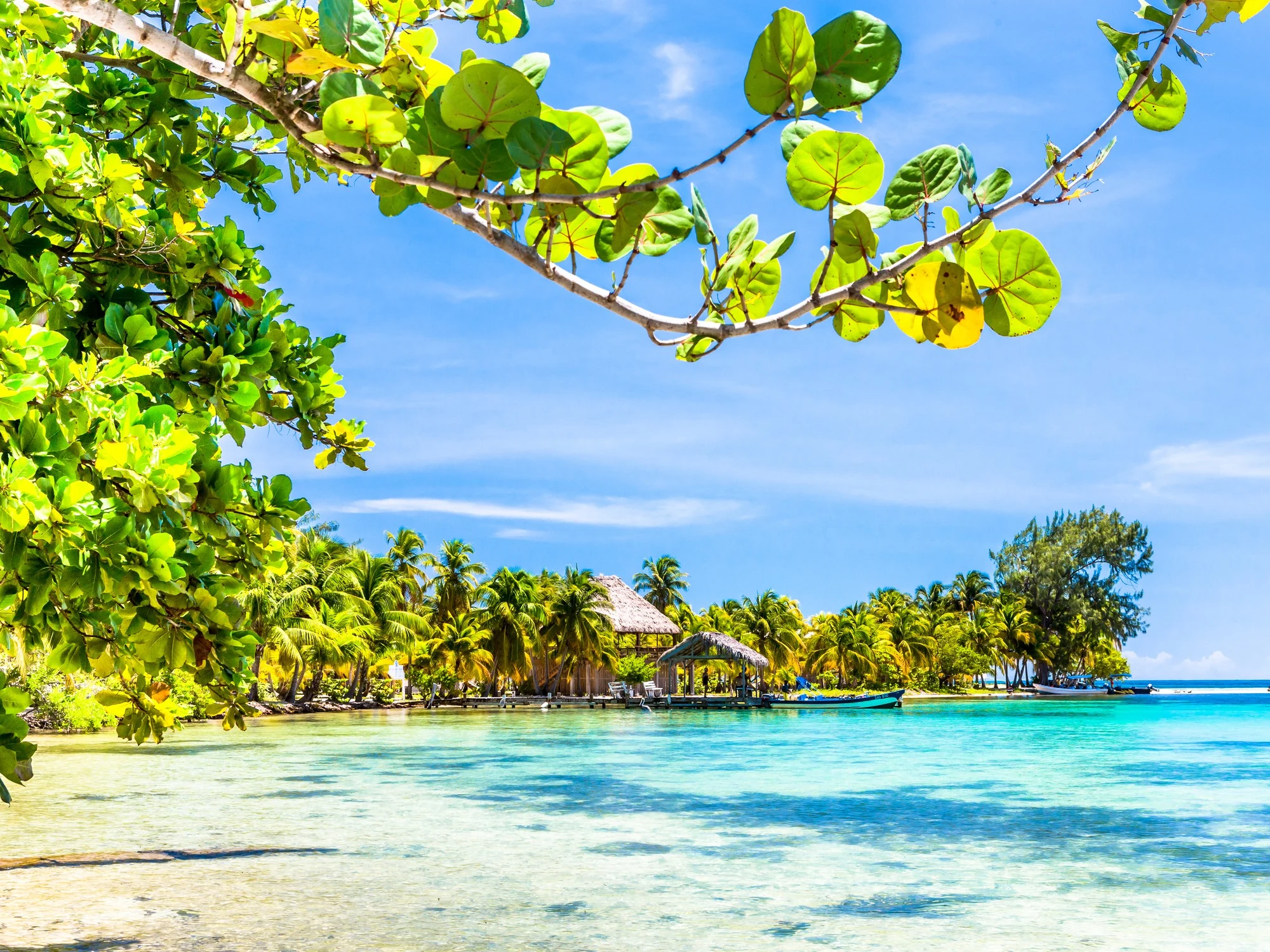 A thatched-roof dock and boat sit on a turquoise Caribbean lagoon framed by sea grape leaves.