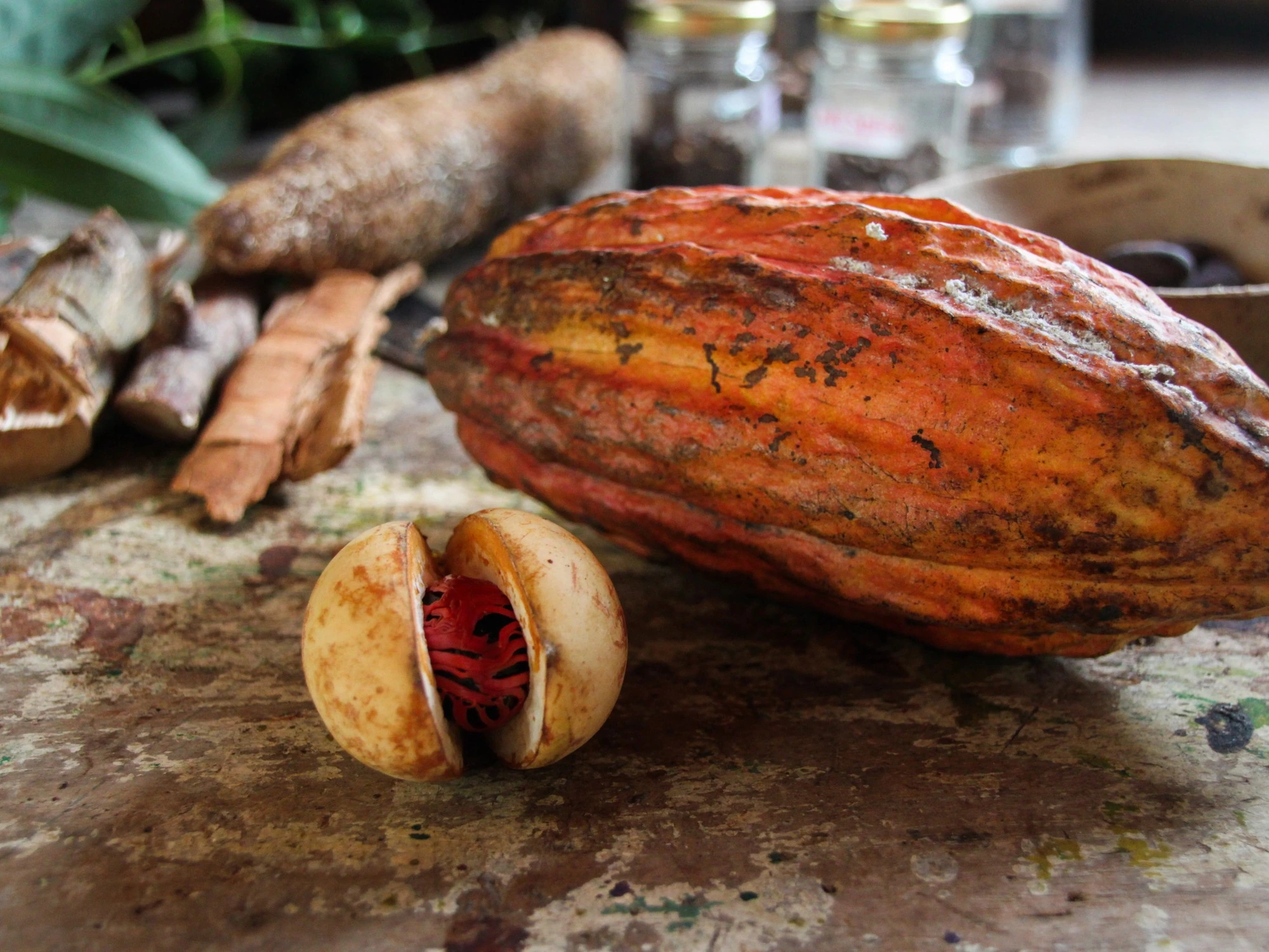 Split cacao pod revealing its seeds beside a whole pod.