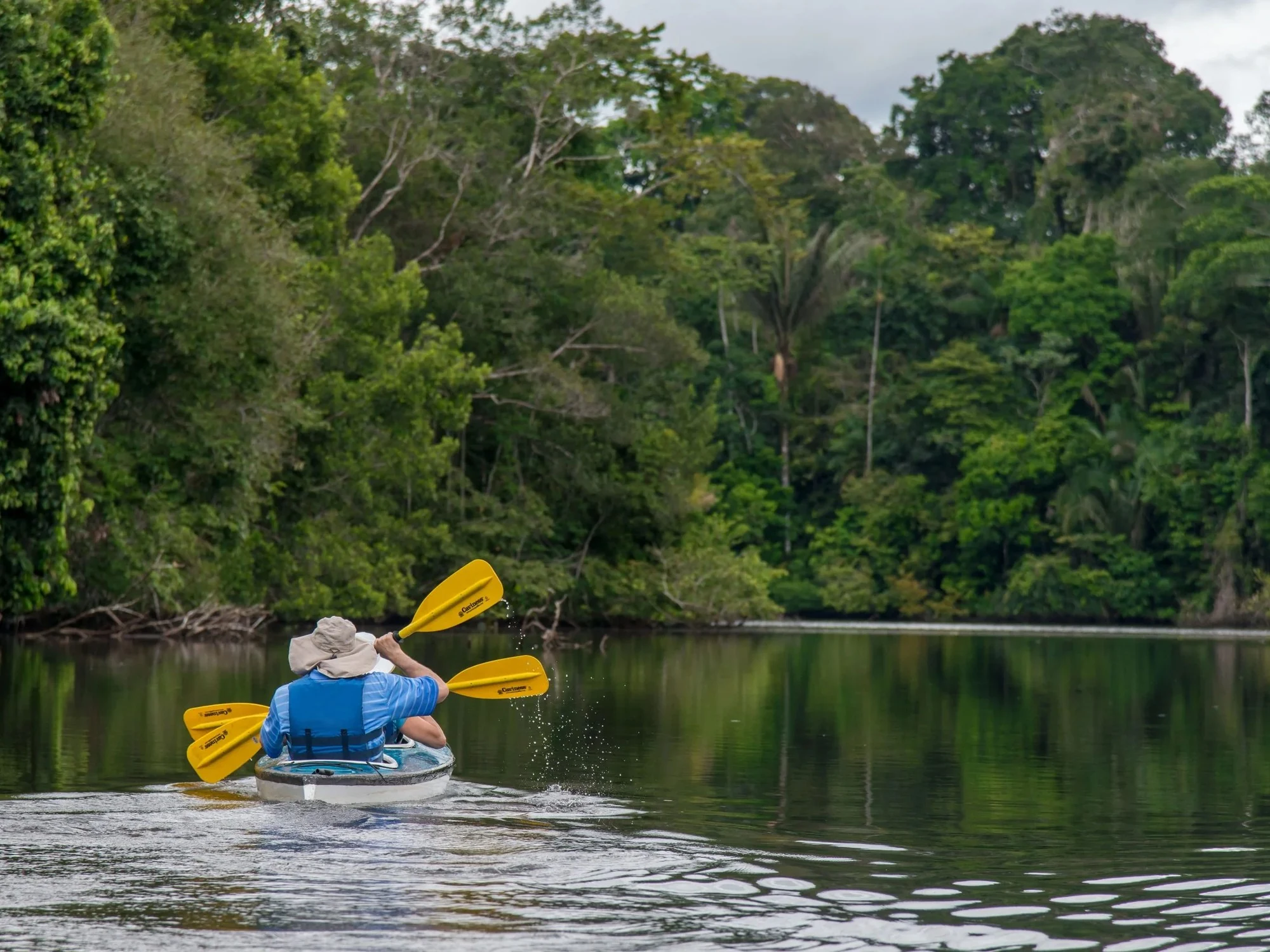 A kayaker in a life vest paddles a calm, mirror-still Amazon river channel, yellow paddle blades flashing above the water as dense jungle lines both banks.