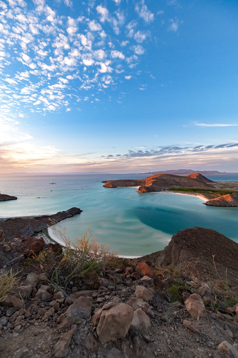 Prickly pear cacti frame a clifftop view of a turquoise bay curving along the desert coastline near La Paz.