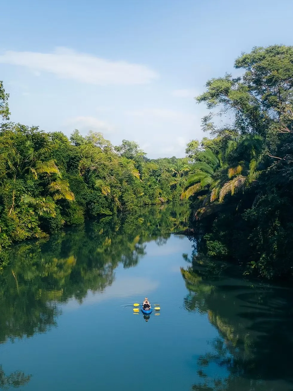 A kayaker paddles a calm jungle river near Copal Tree Lodge in Toledo, Belize.