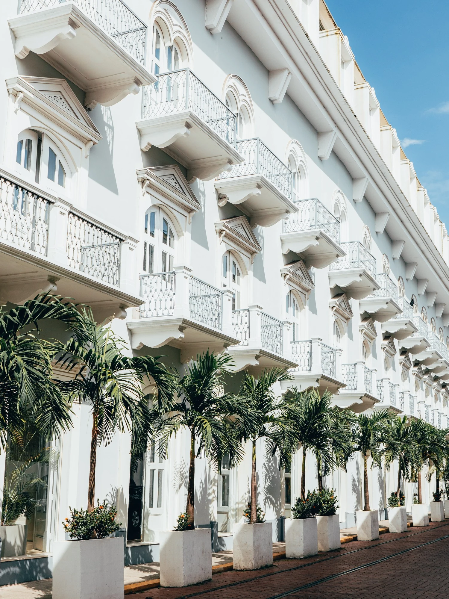 Colonial-era balconied facade lined with palm trees in Panama City's historic Casco Viejo district.