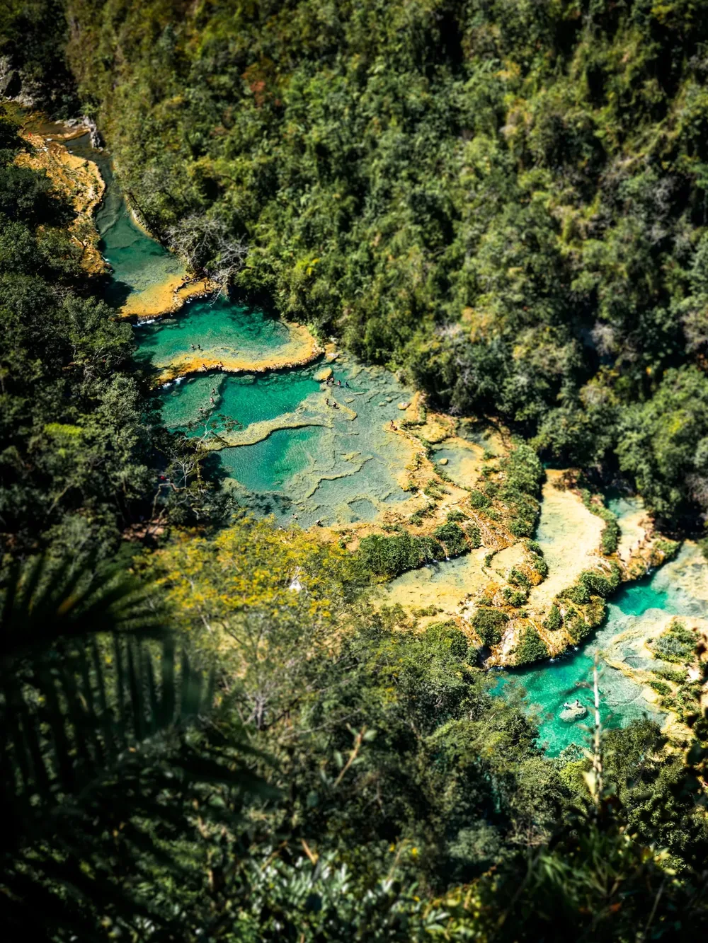 Aerial view of Semuc Champey's tiered turquoise limestone pools surrounded by jungle.
