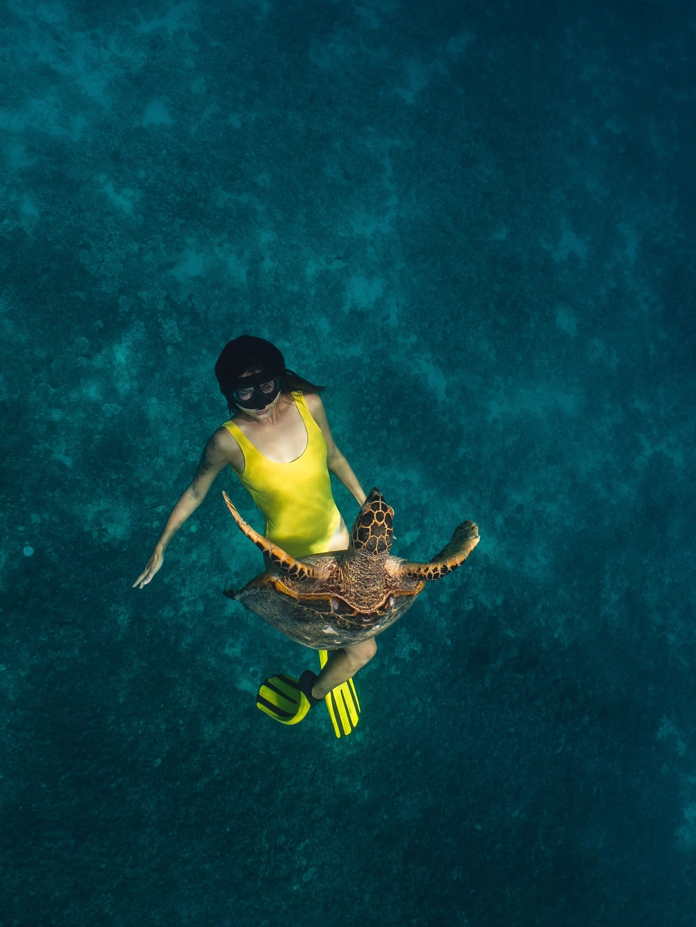 A snorkeler in a yellow swimsuit swims alongside a hawksbill turtle in clear blue water.