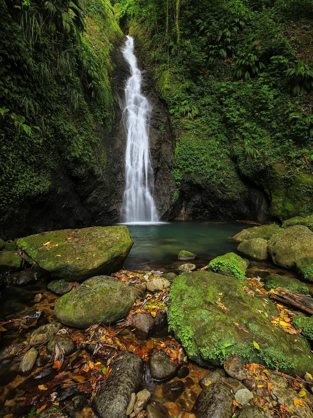 Tall waterfall dropping into a pool within lush forest.