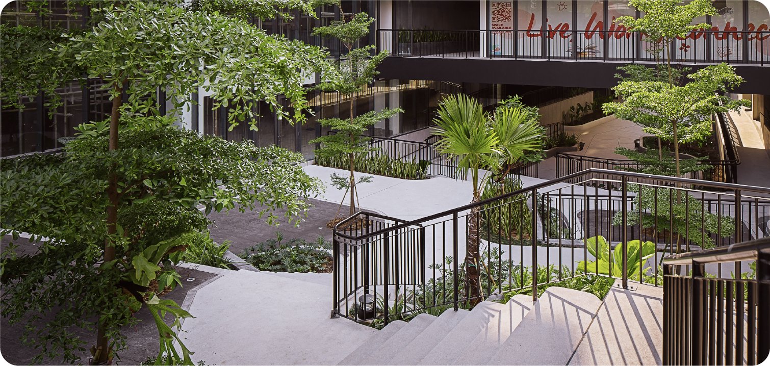 The landscaped park and terraces at Rose Apple Square