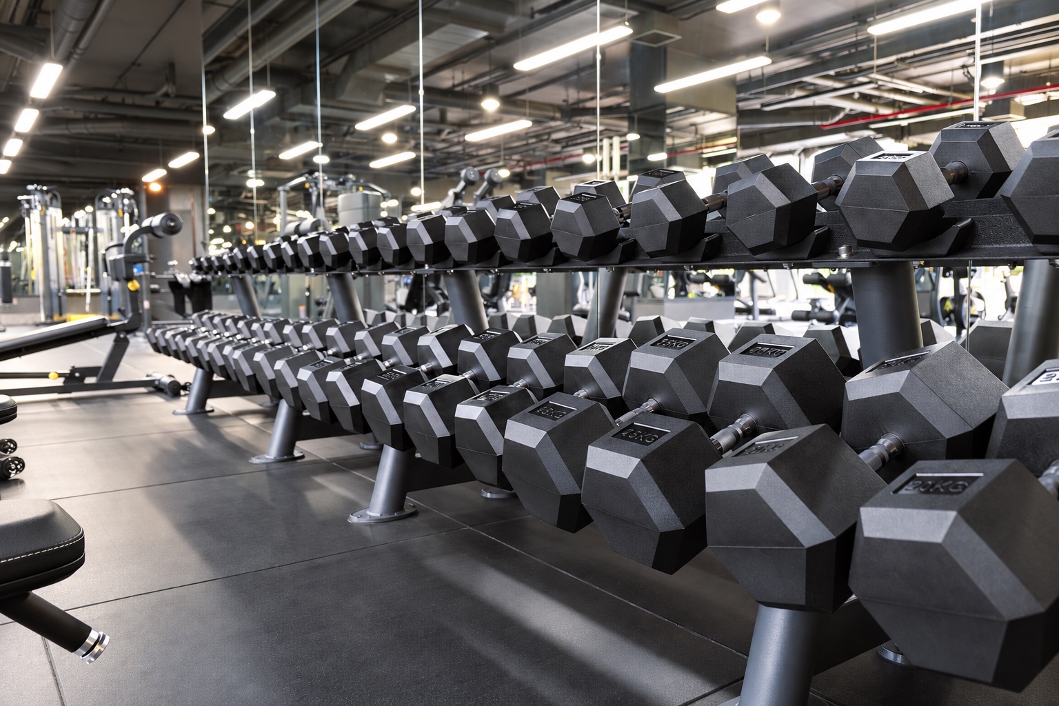 The dumbbell racks